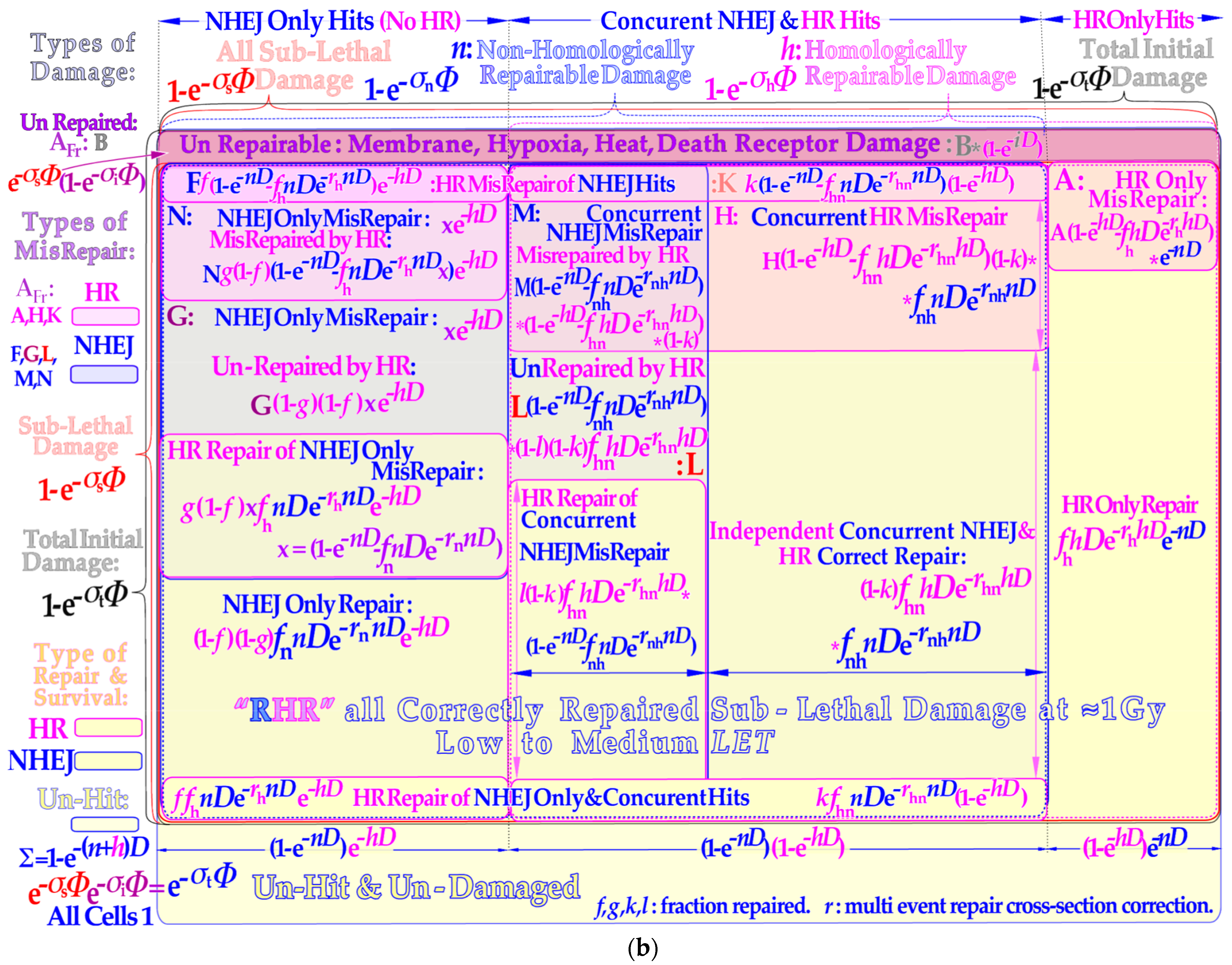 Biophysica 03 00045 g002b