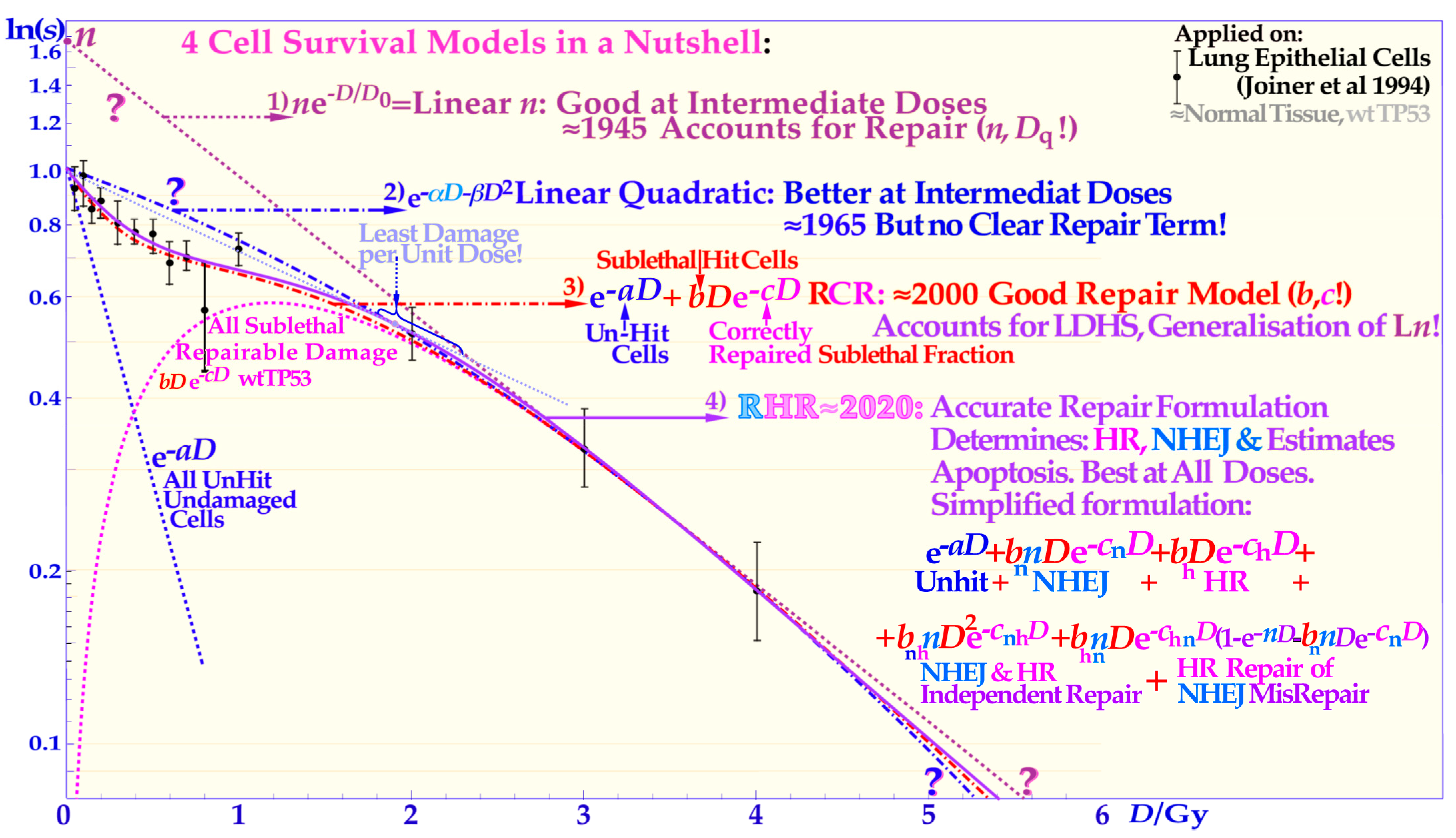 Biophysica 03 00045 g004