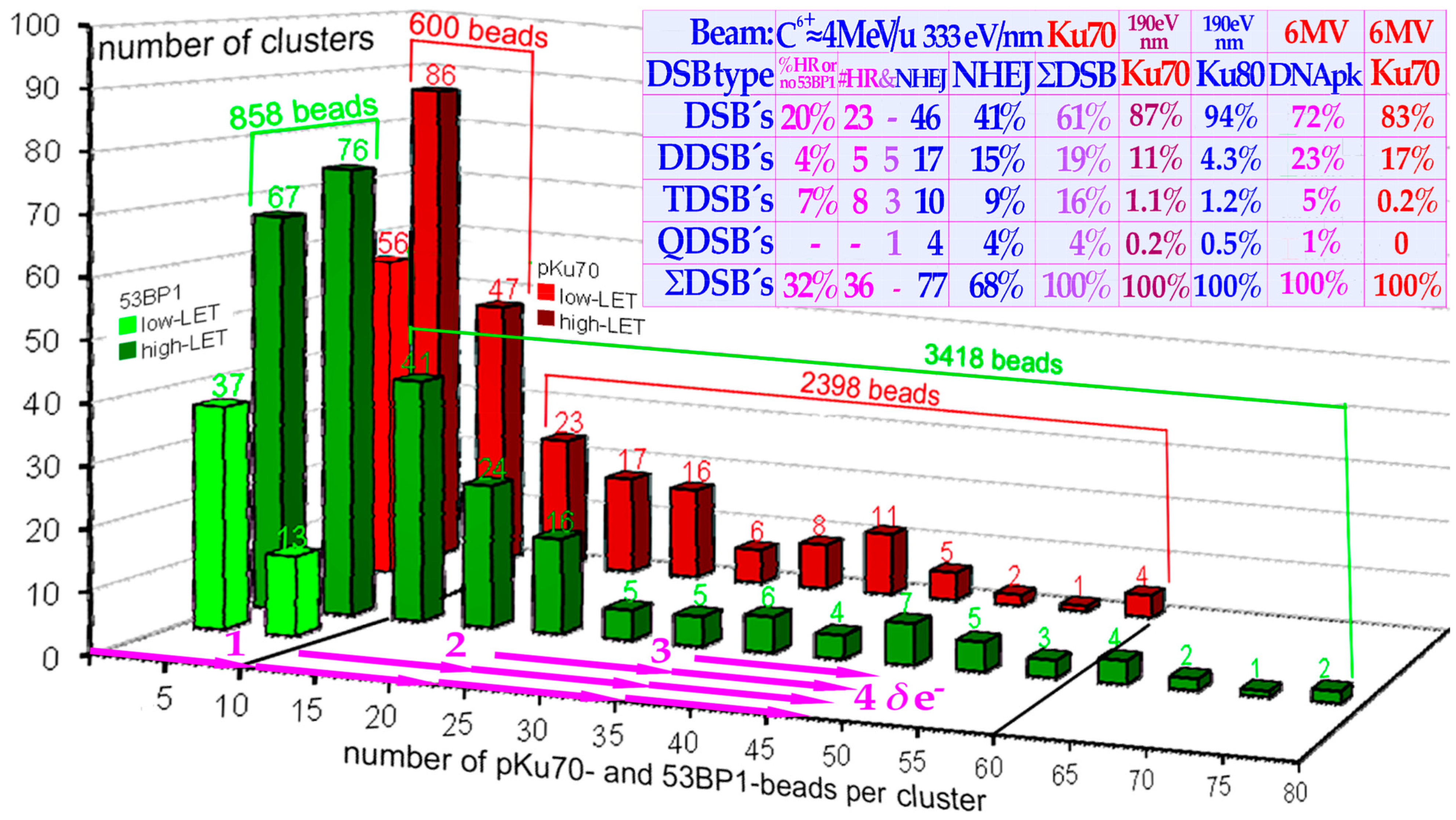Biophysica 03 00045 g014