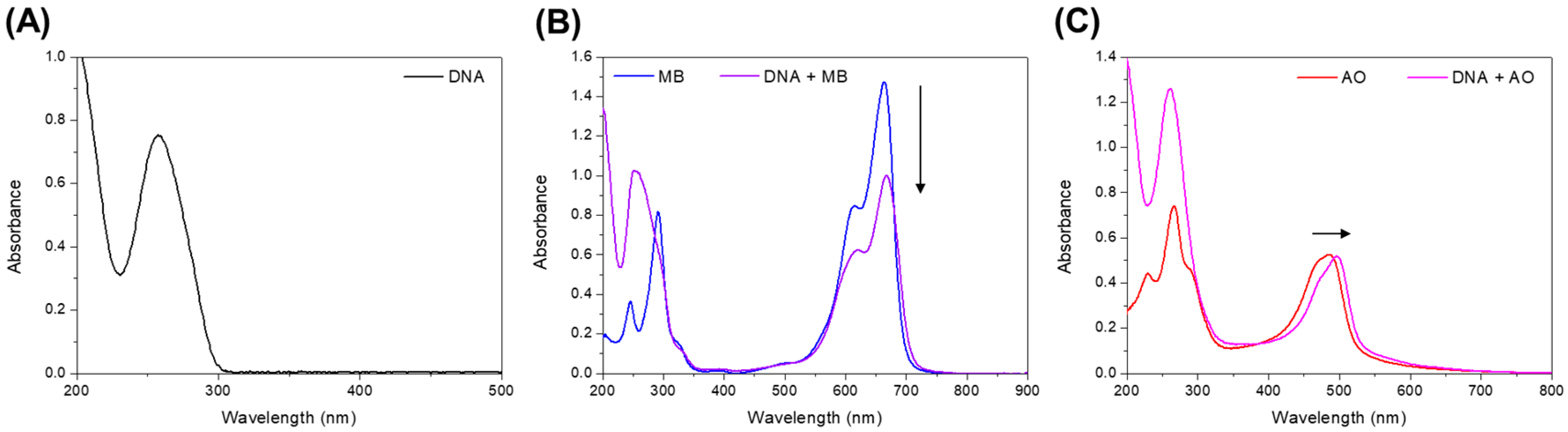 Biophysica 04 00002 g002 Biophysica 04 00002 g002