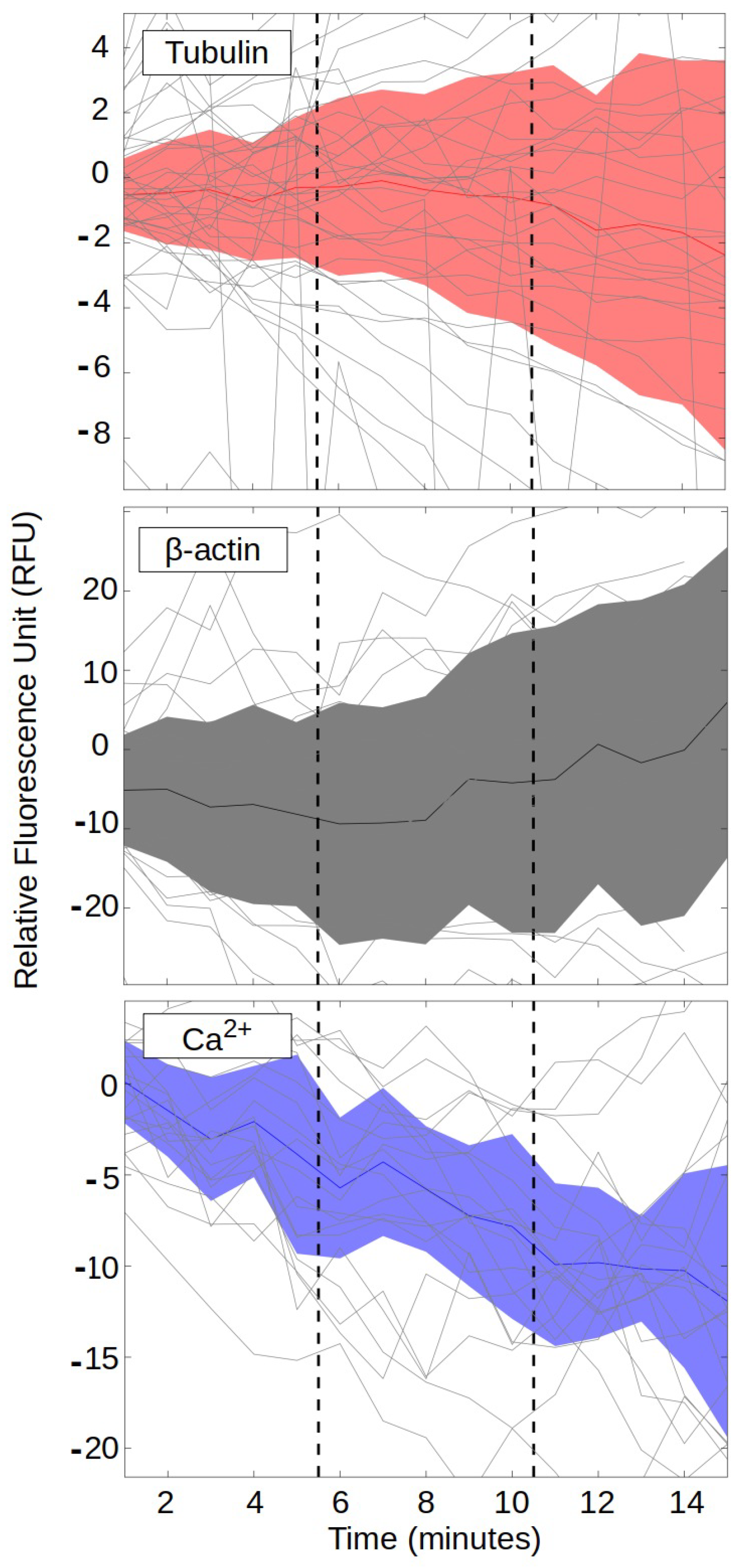 Biophysica 04 00012 g003 Biophysica 04 00012 g003