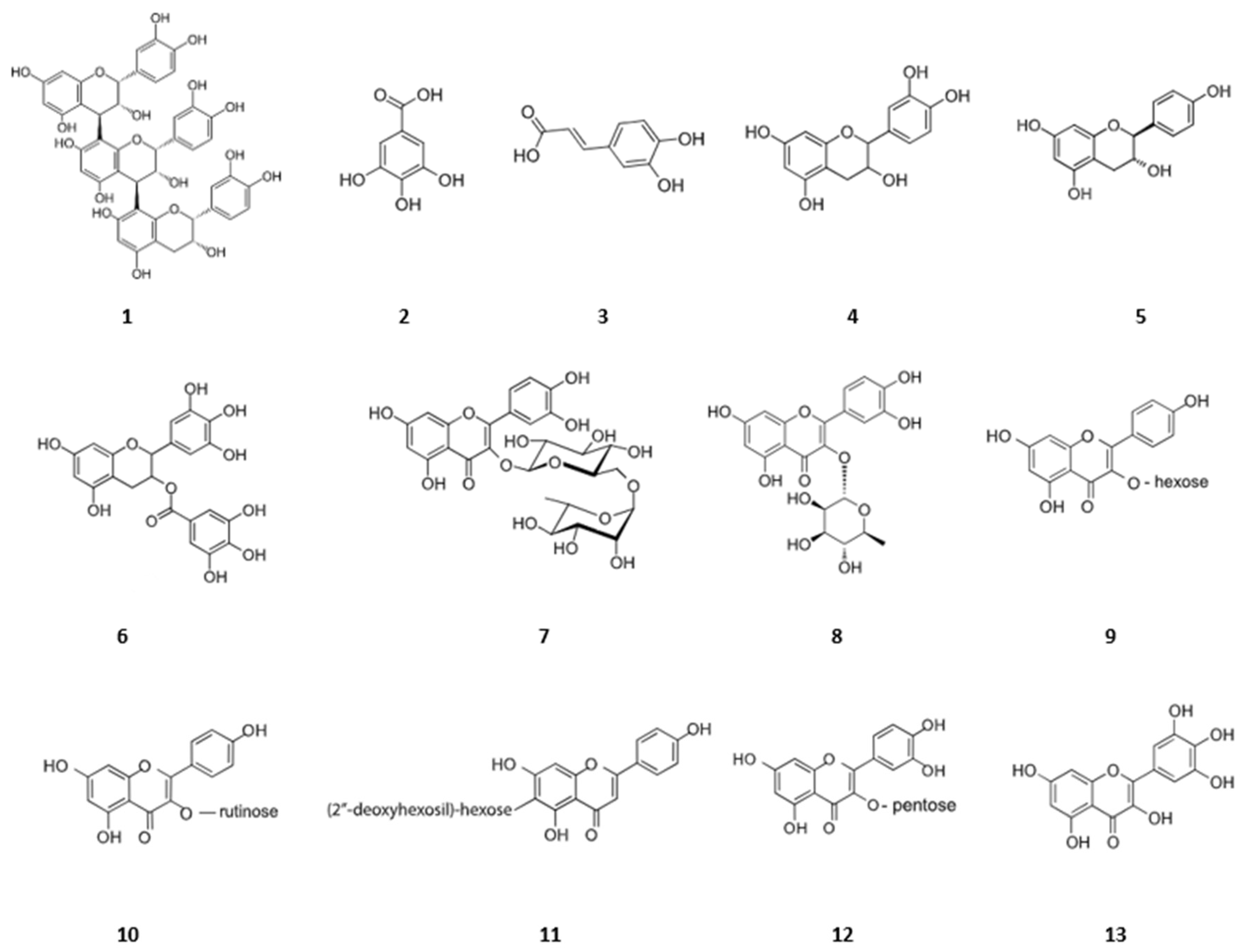 Biophysica 04 00017 g003