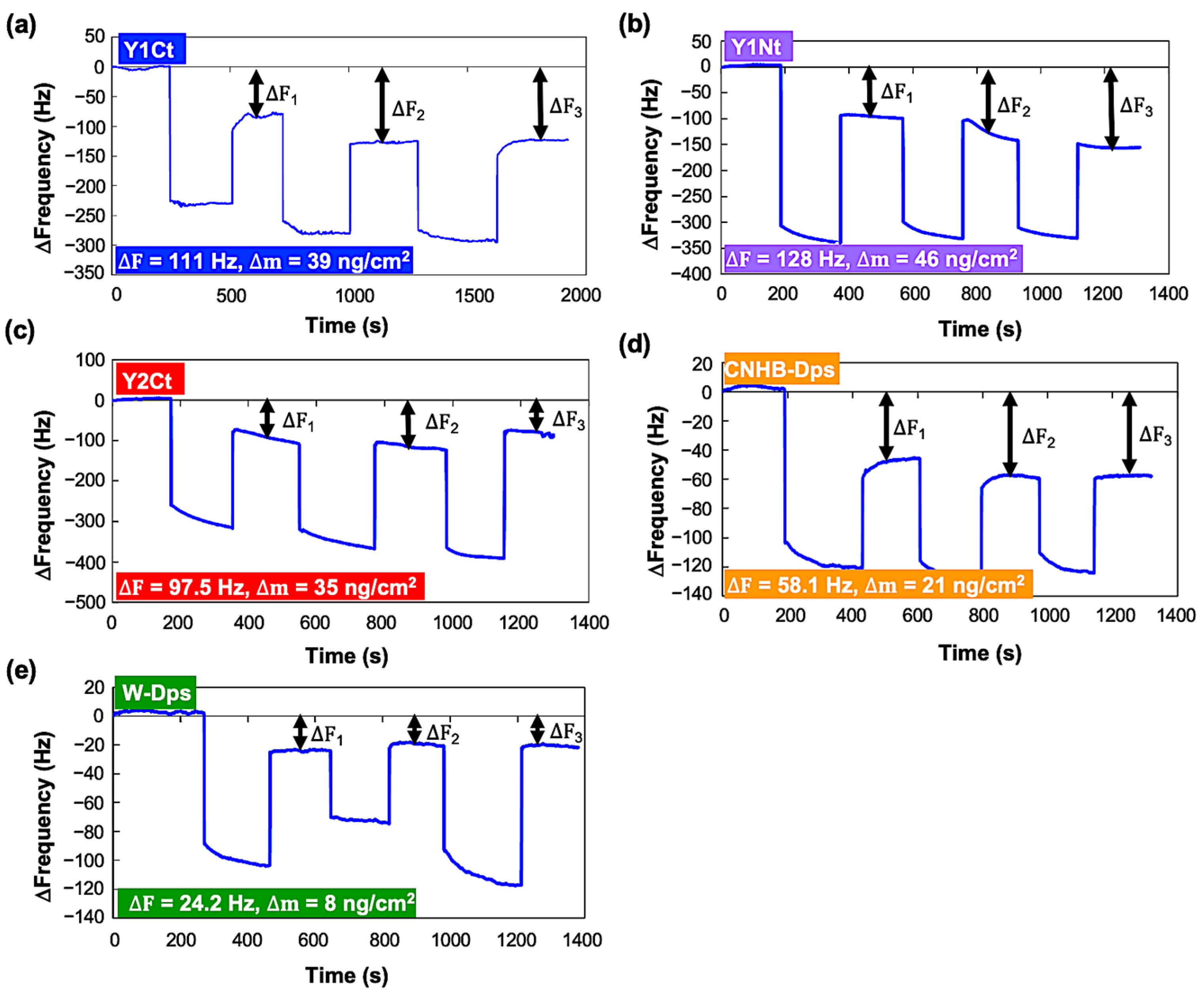 Biophysica 04 00018 g002