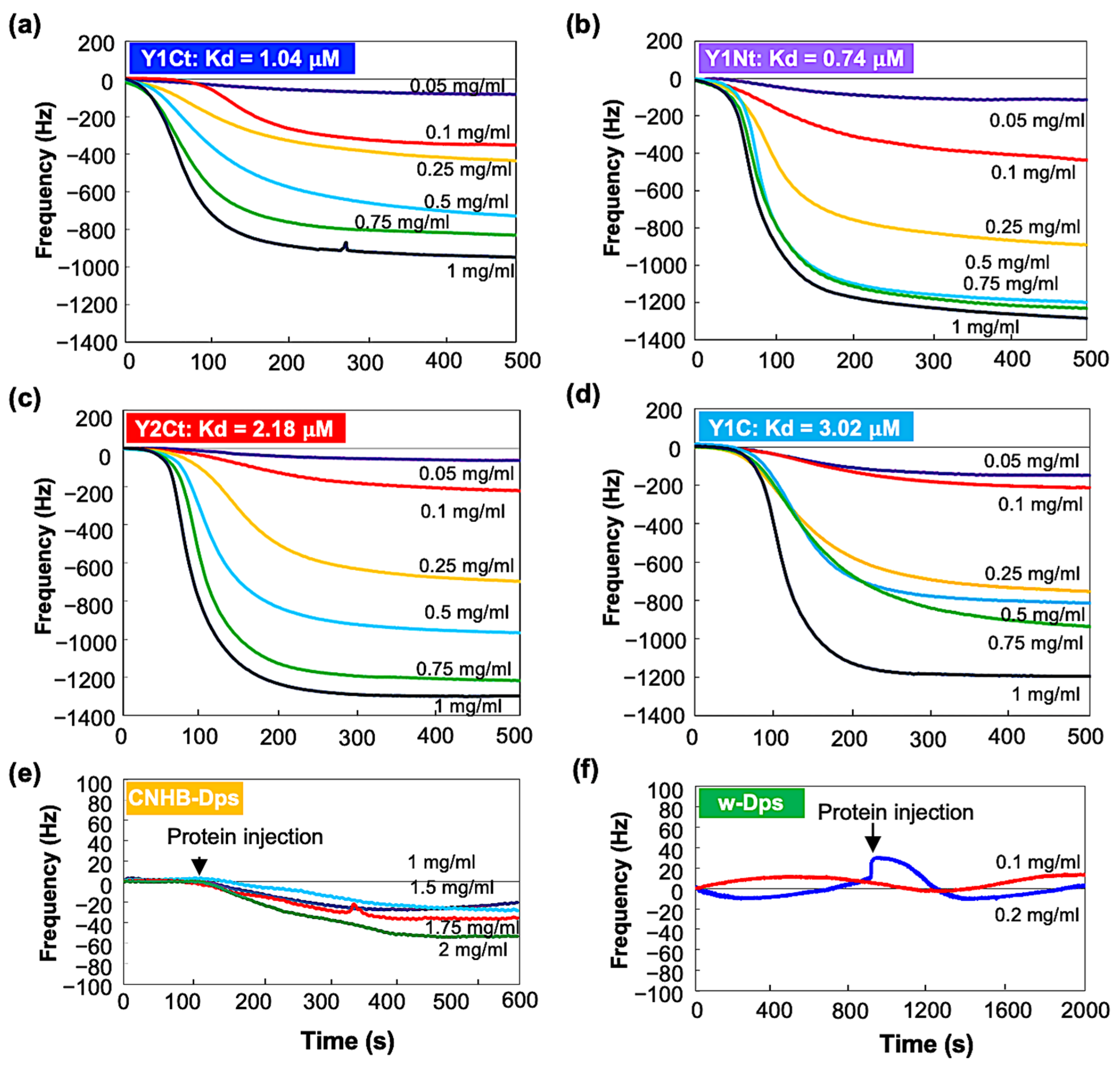 Biophysica 04 00018 g004