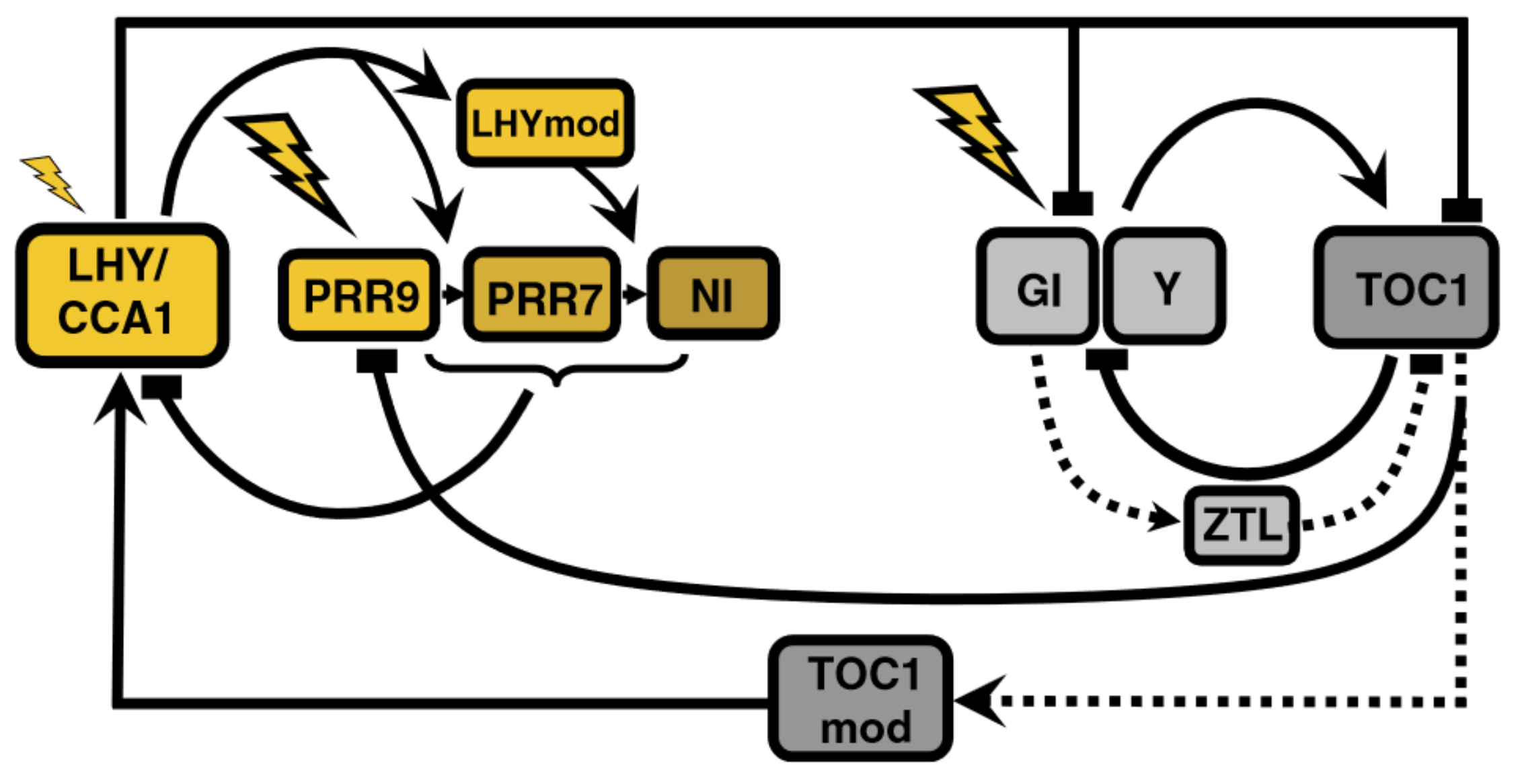 Biophysica 04 00019 g003