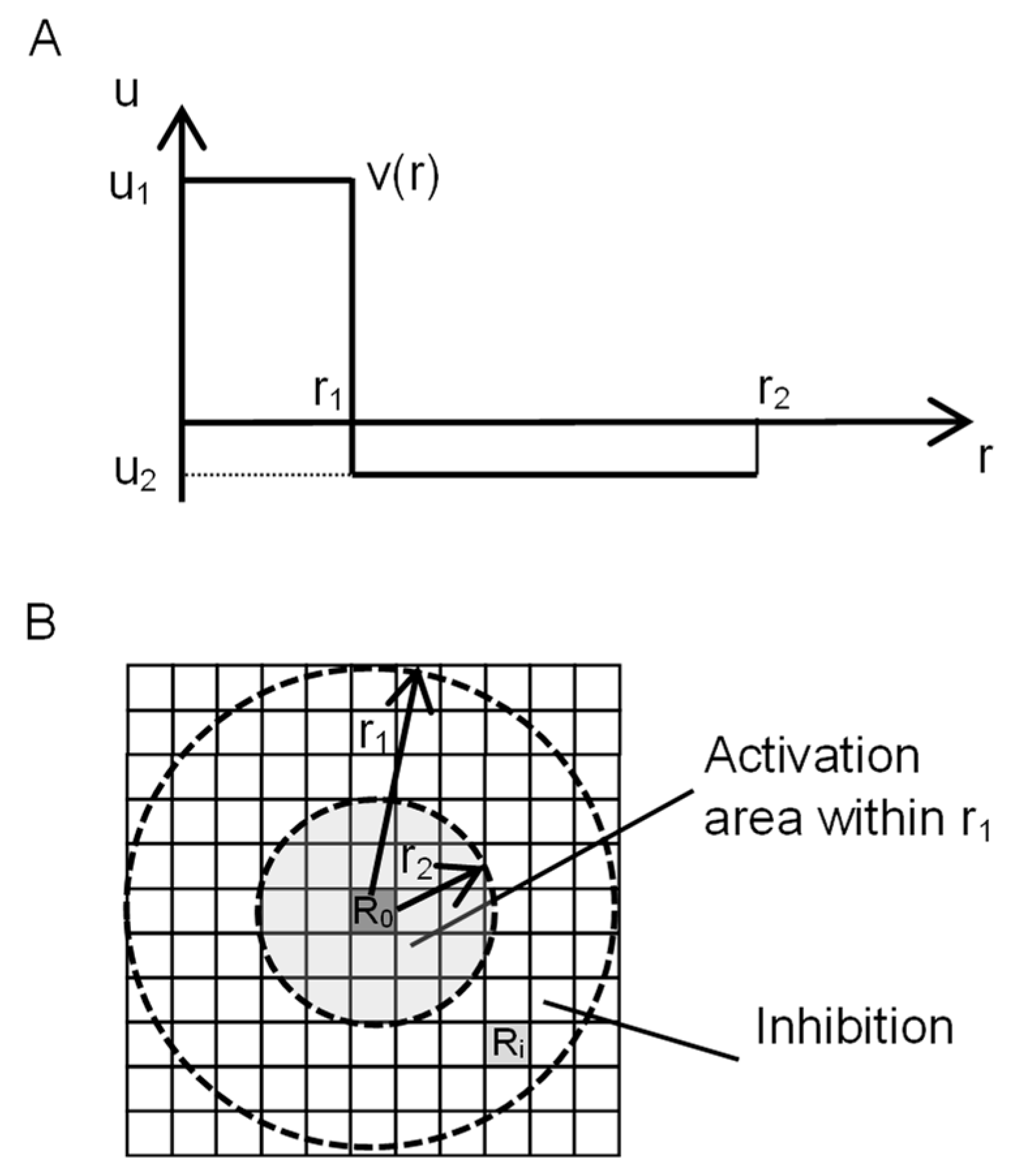 Biophysica 04 00020 g002