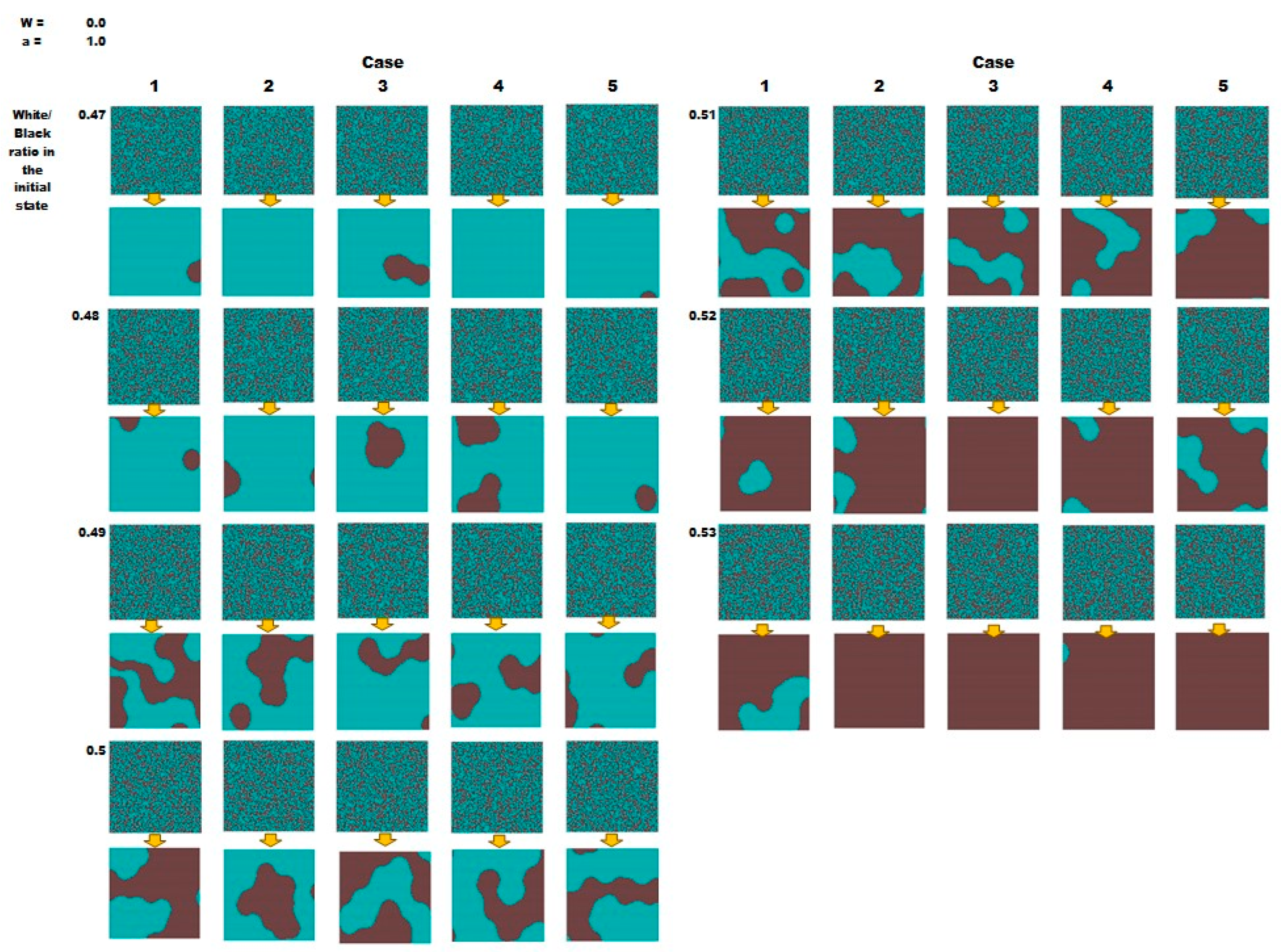 Biophysica 04 00020 g006