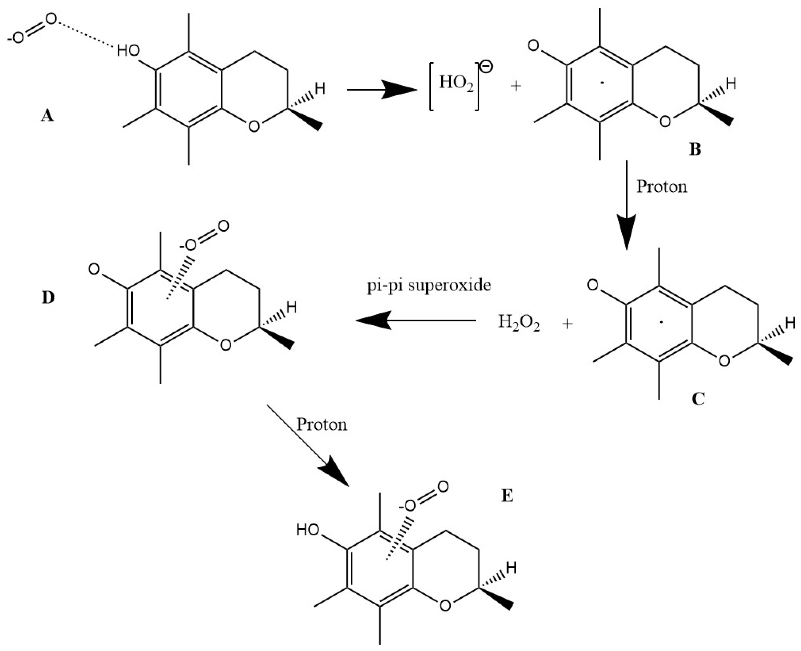 Biophysica 04 00022 sch001