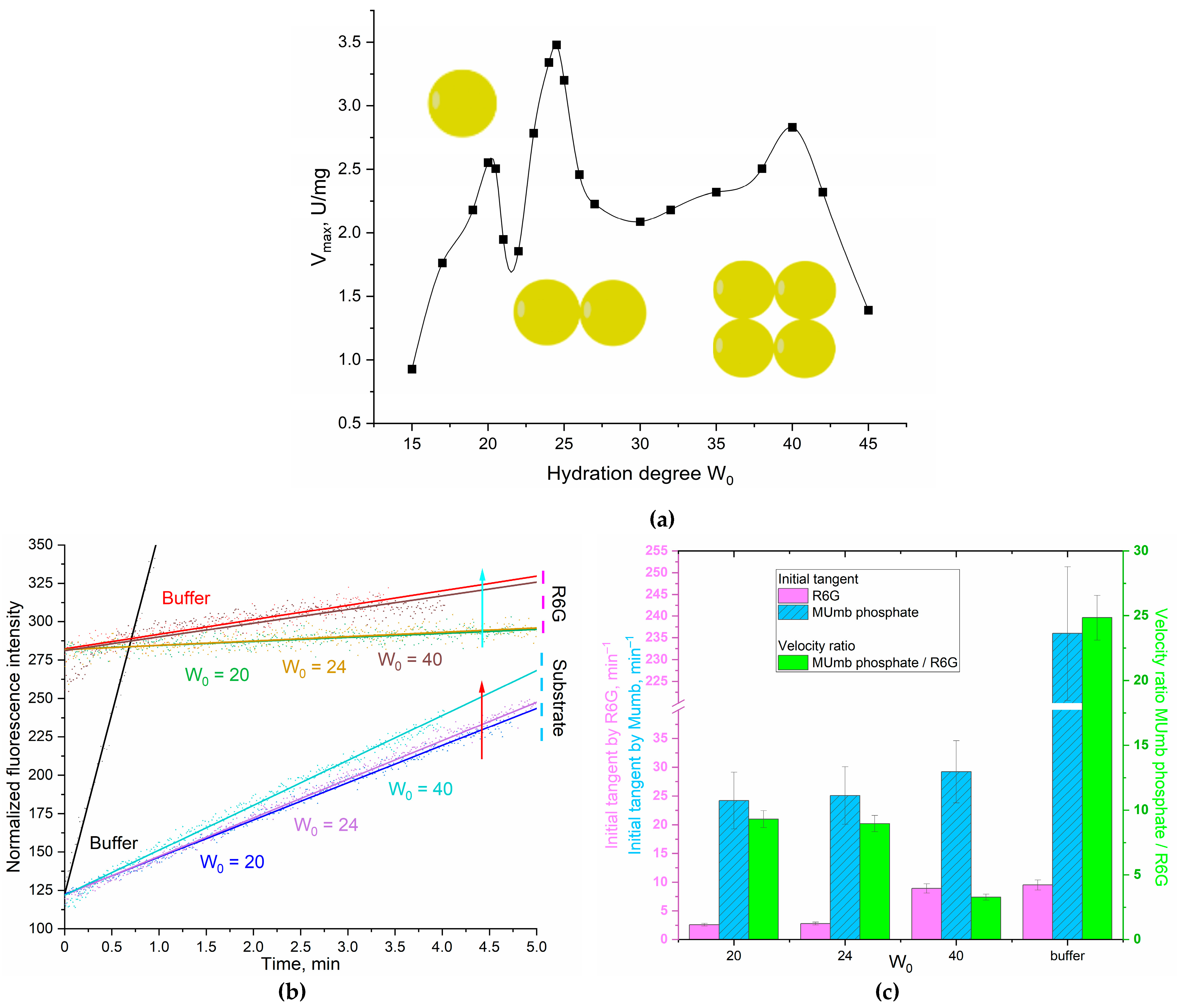 Biophysica 04 00024 g003