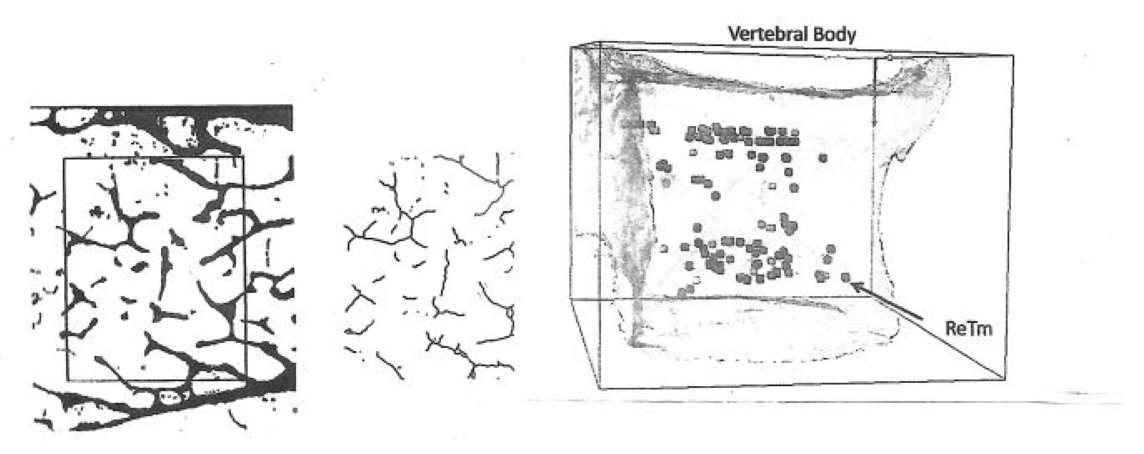 Biophysica 04 00026 g005