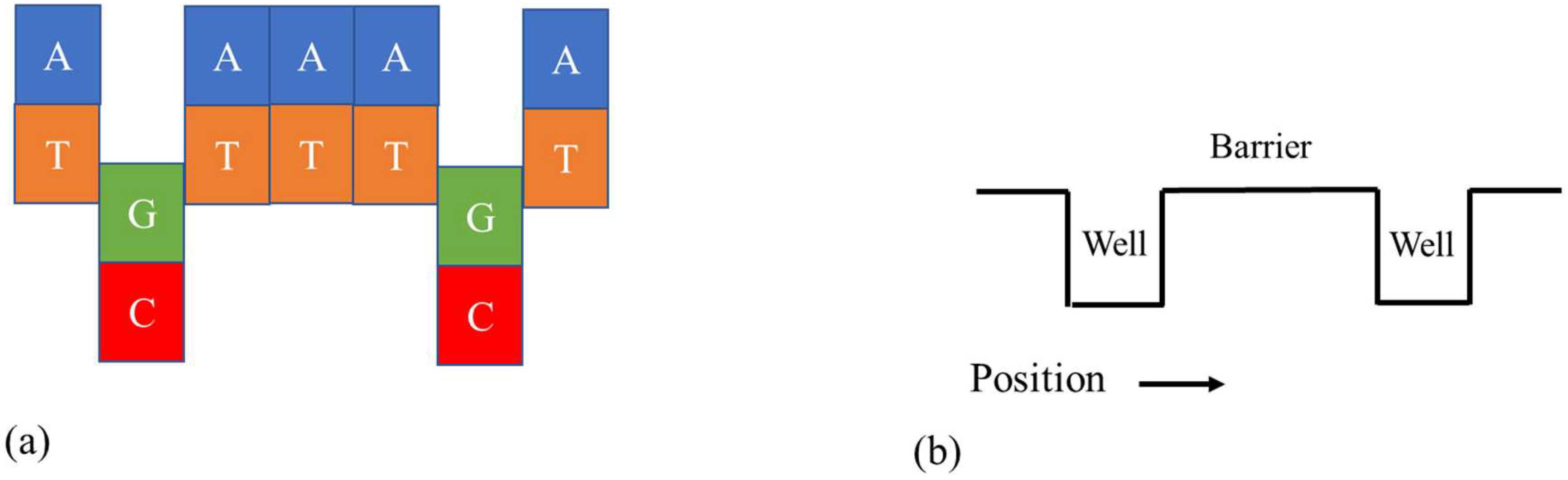 Biophysica 04 00027 g002