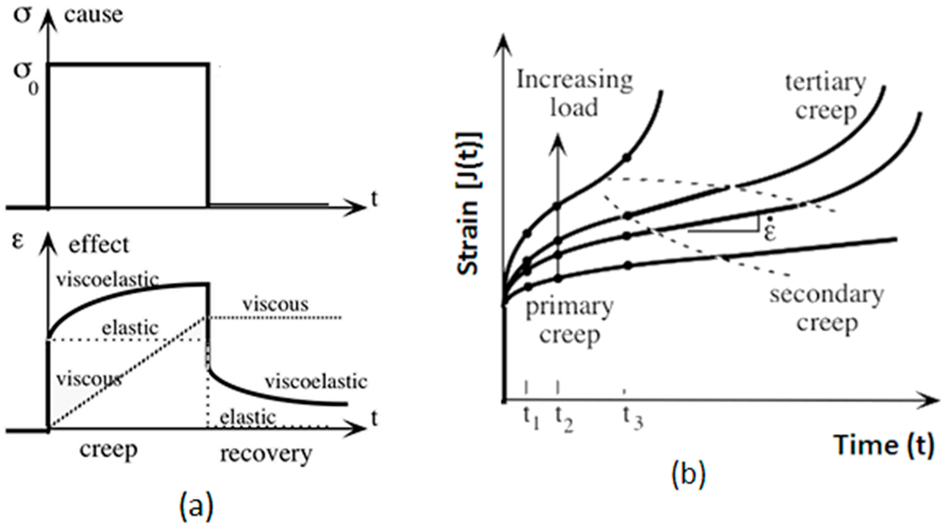 Biophysica 04 00029 g002