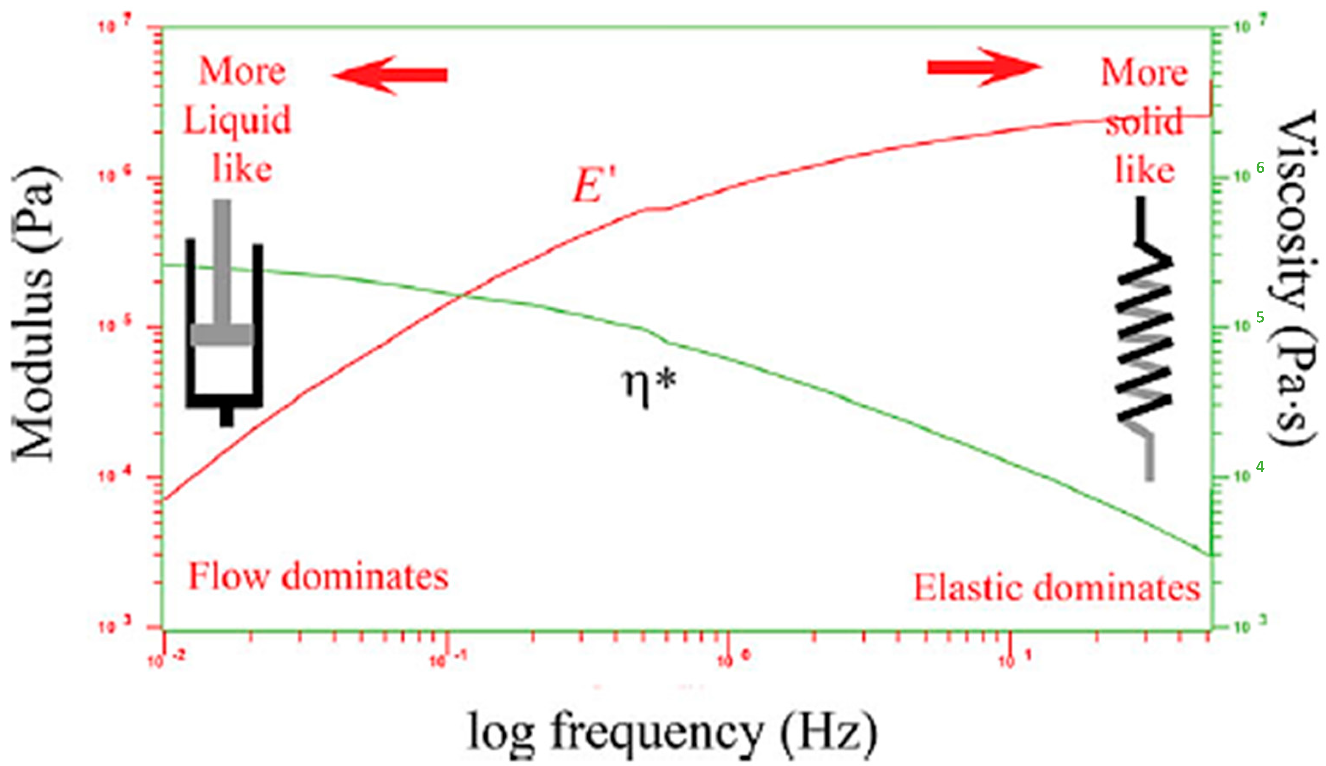 Biophysica 04 00029 g003