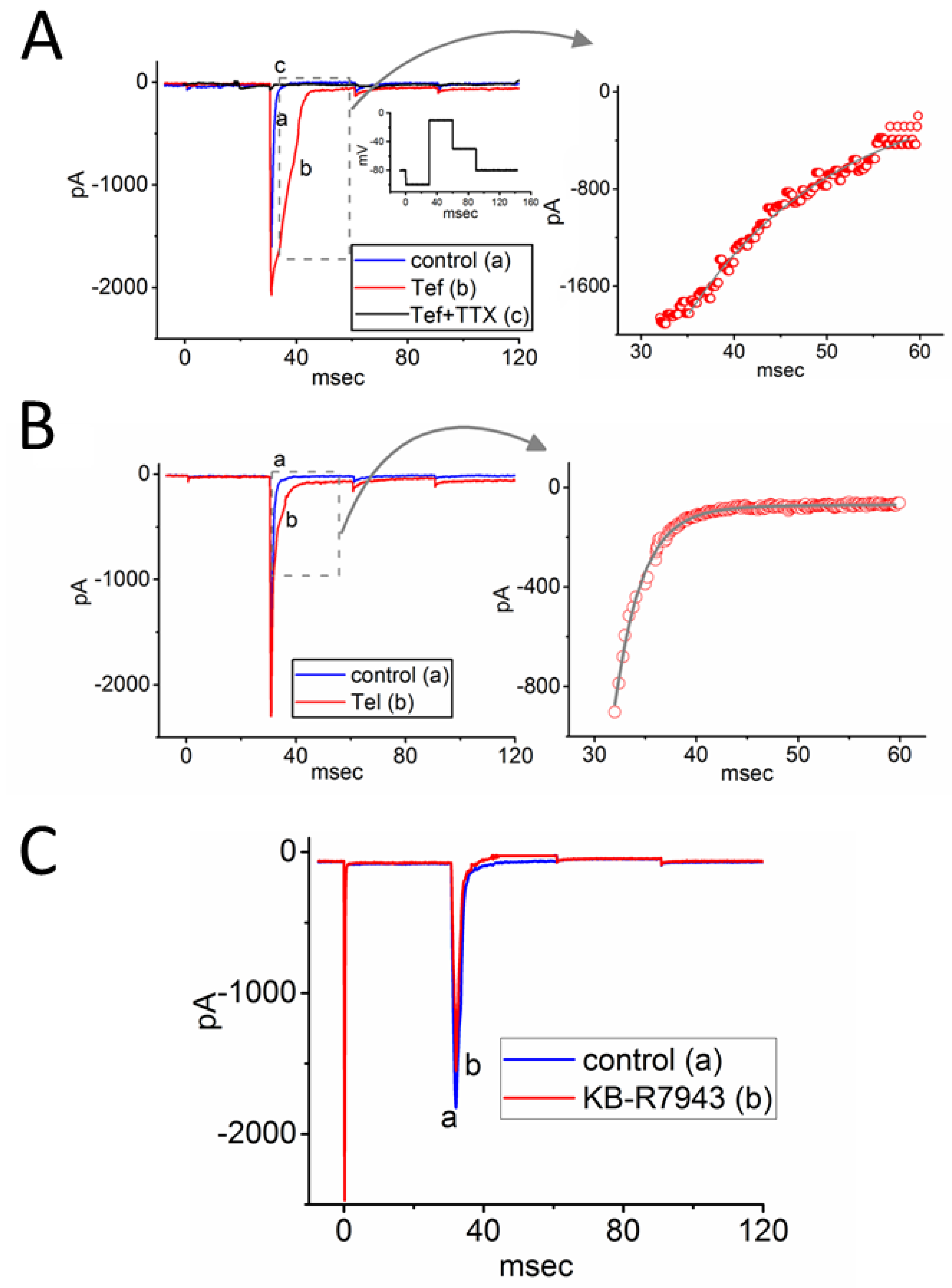 Biophysica 04 00032 g002