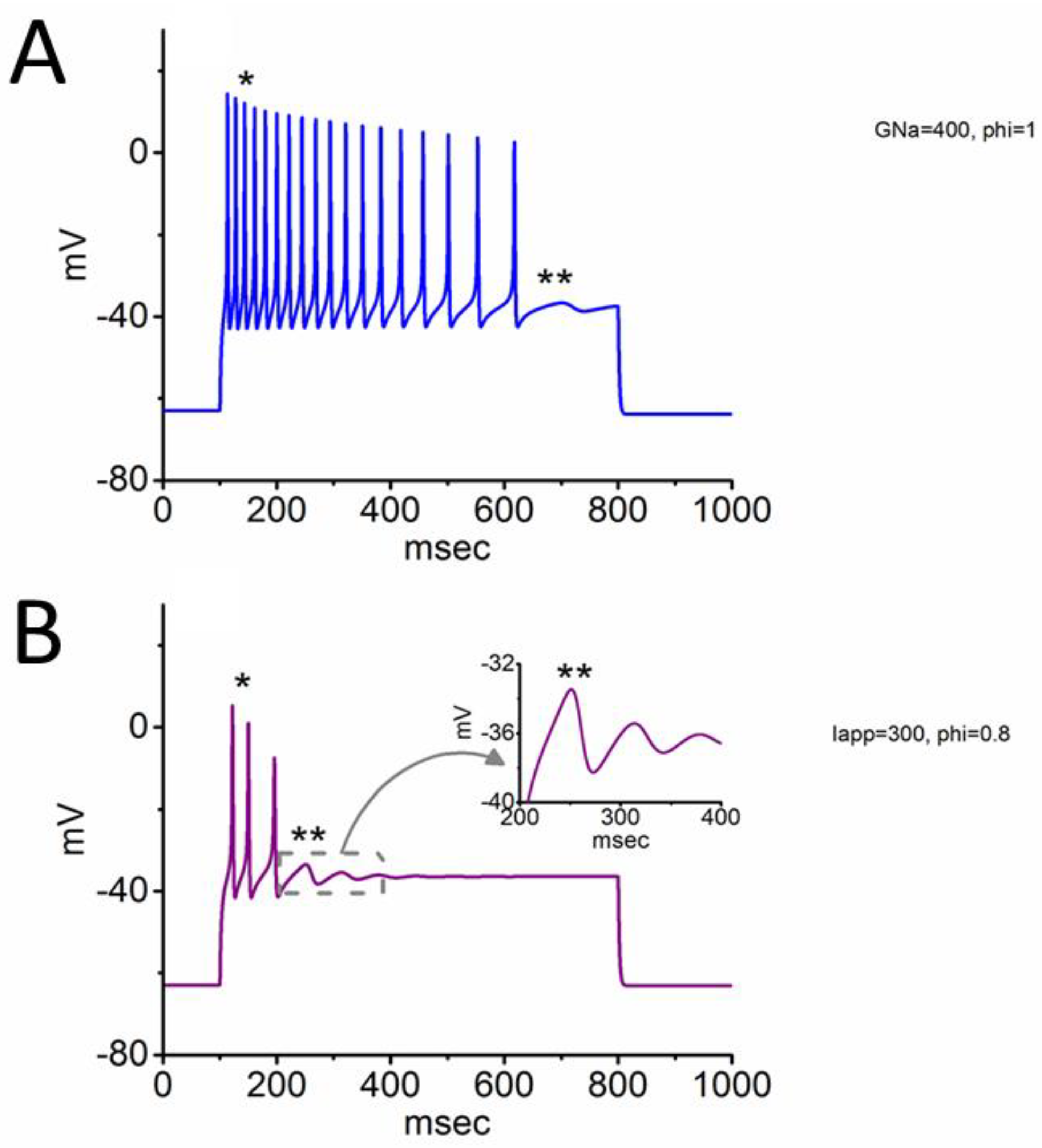 Biophysica 04 00032 g004