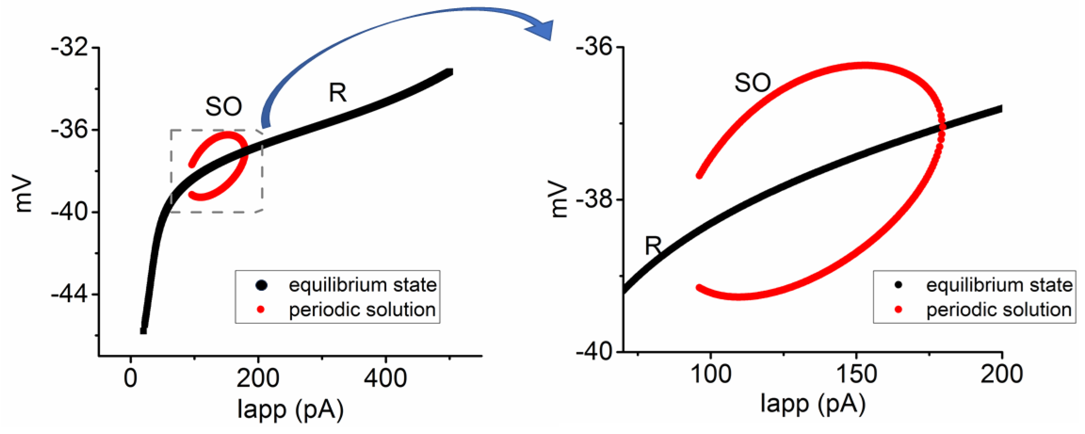 Biophysica 04 00032 g005