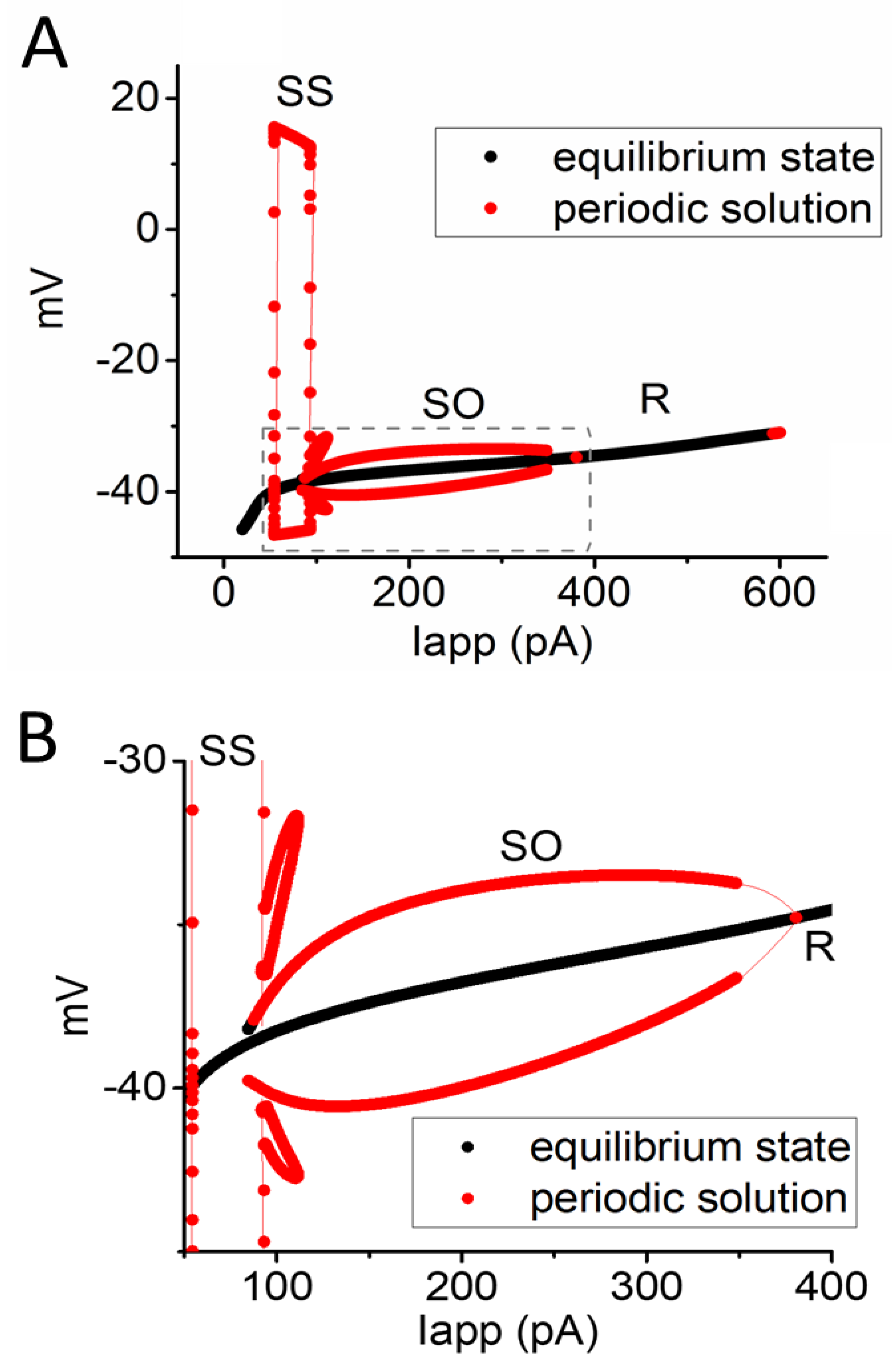 Biophysica 04 00032 g006