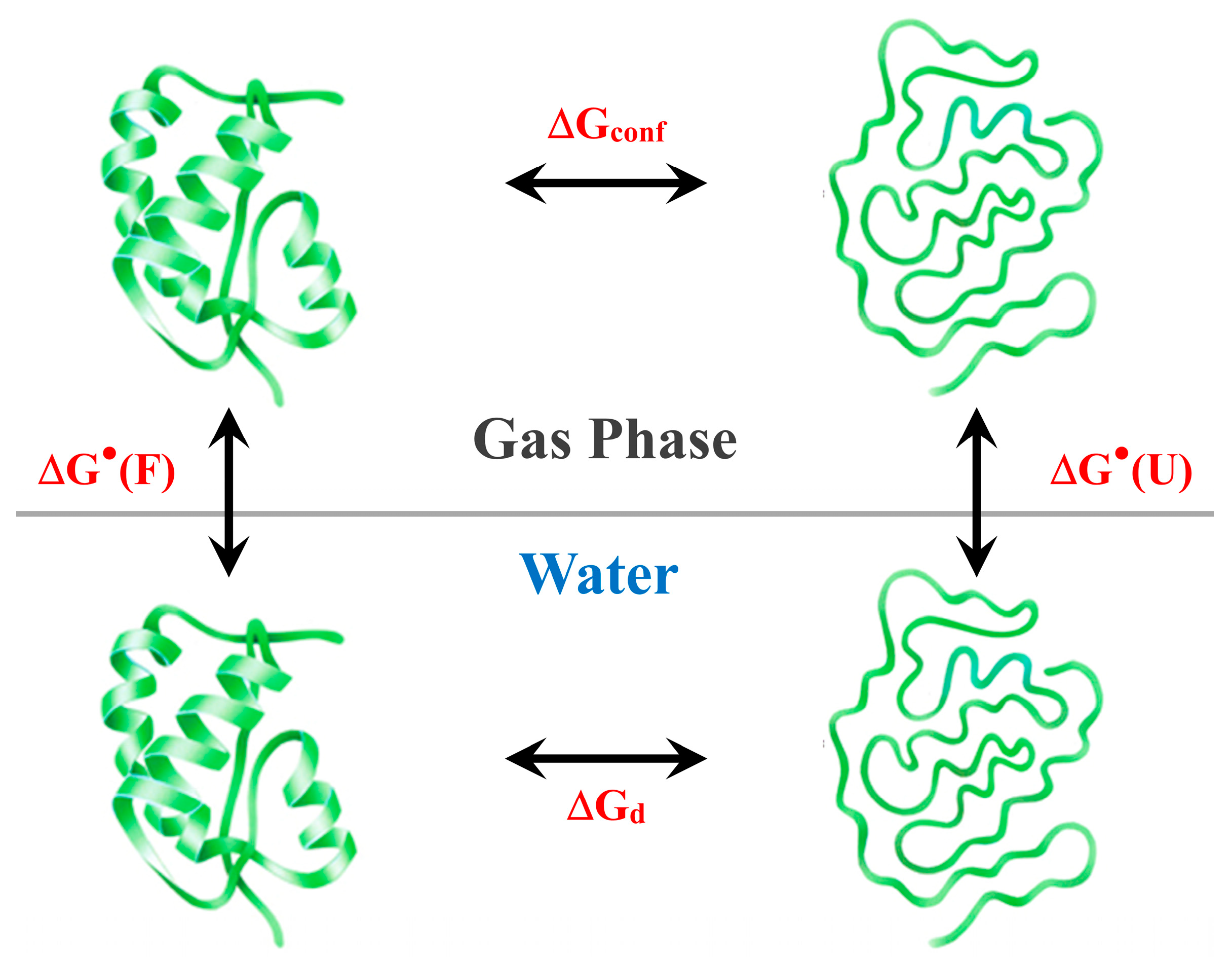 Biophysica 04 00033 g001