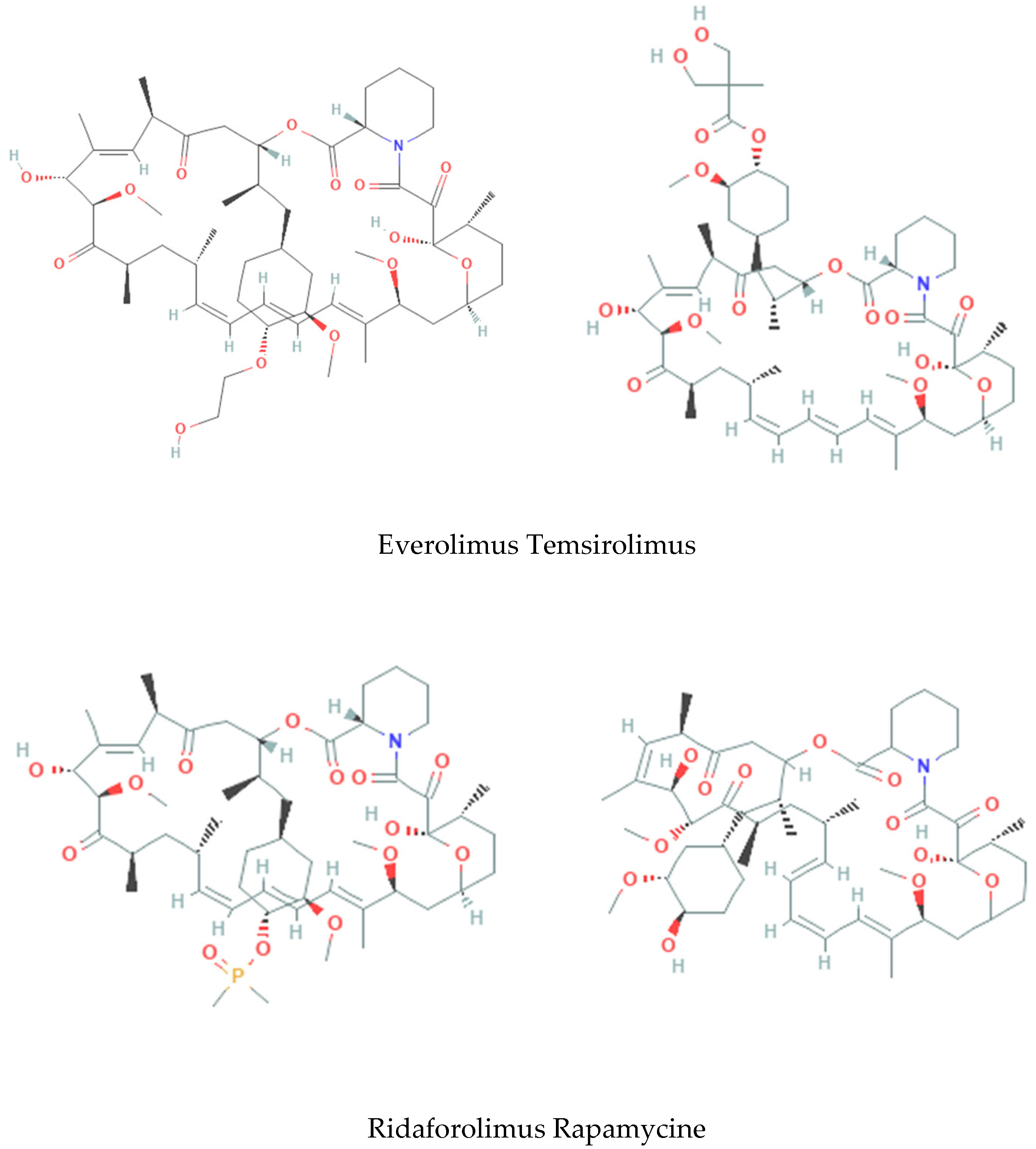 Biophysica 04 00034 g001