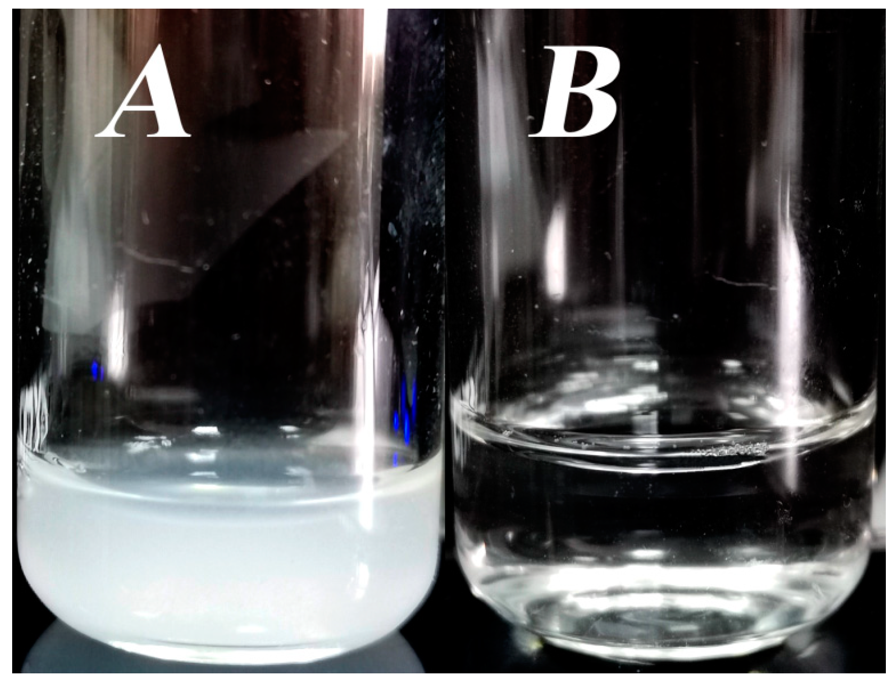 Biophysica 04 00043 g008