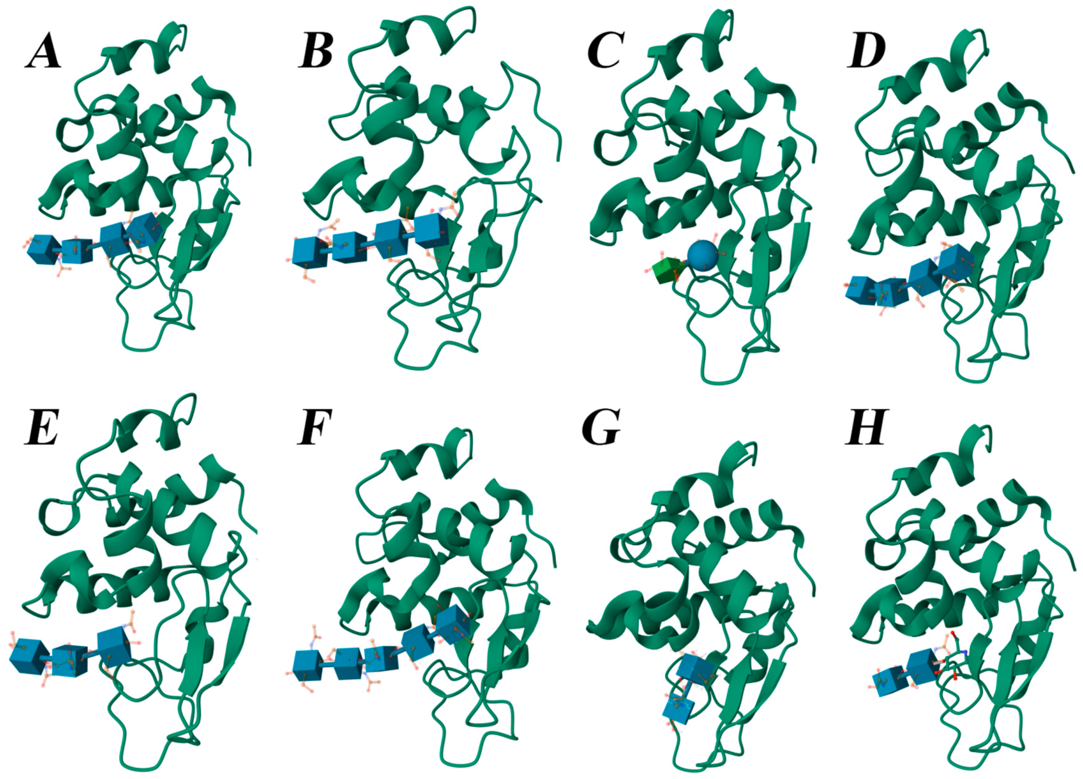 Biophysica 04 00043 g011