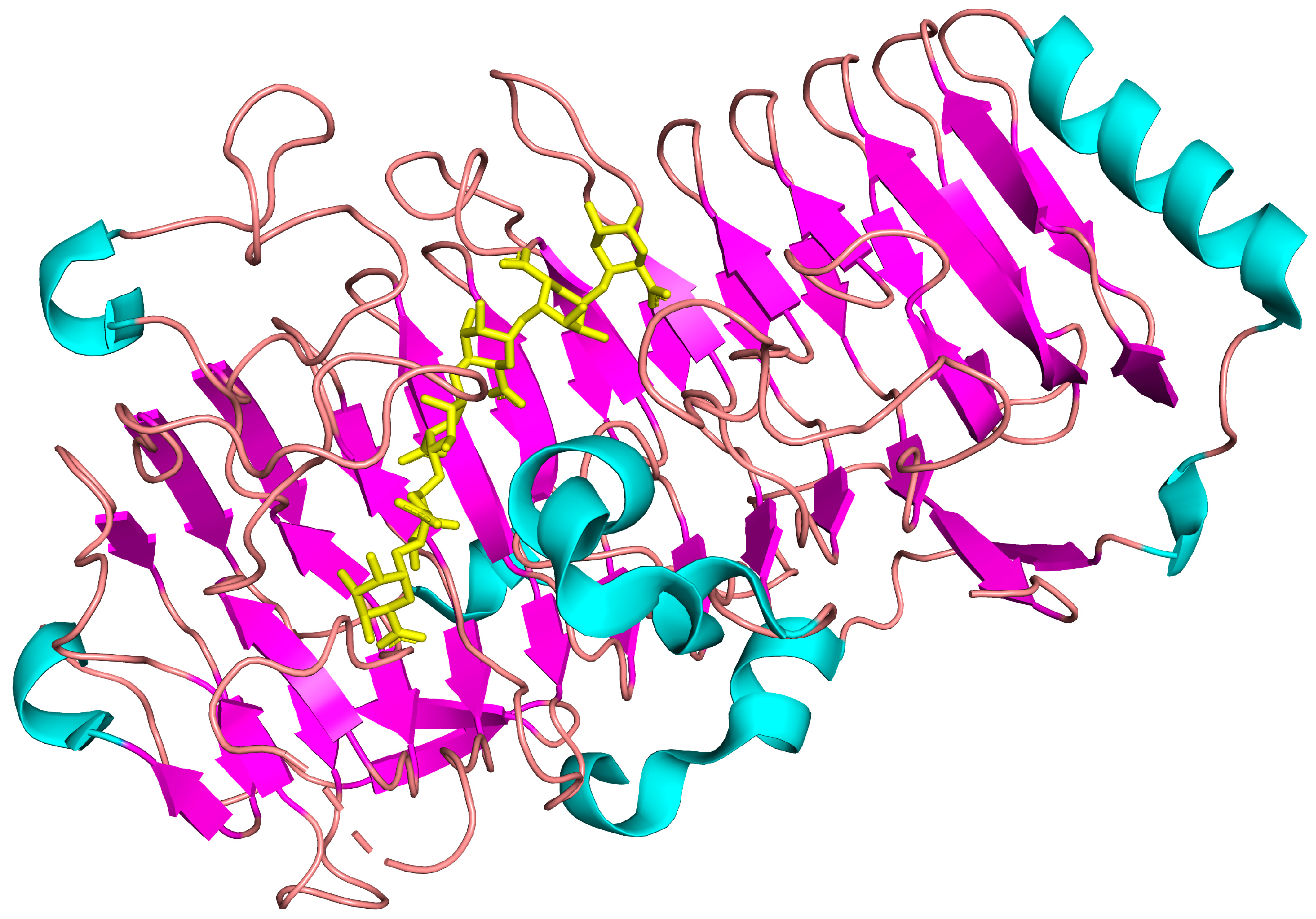 Biophysica 04 00043 g012