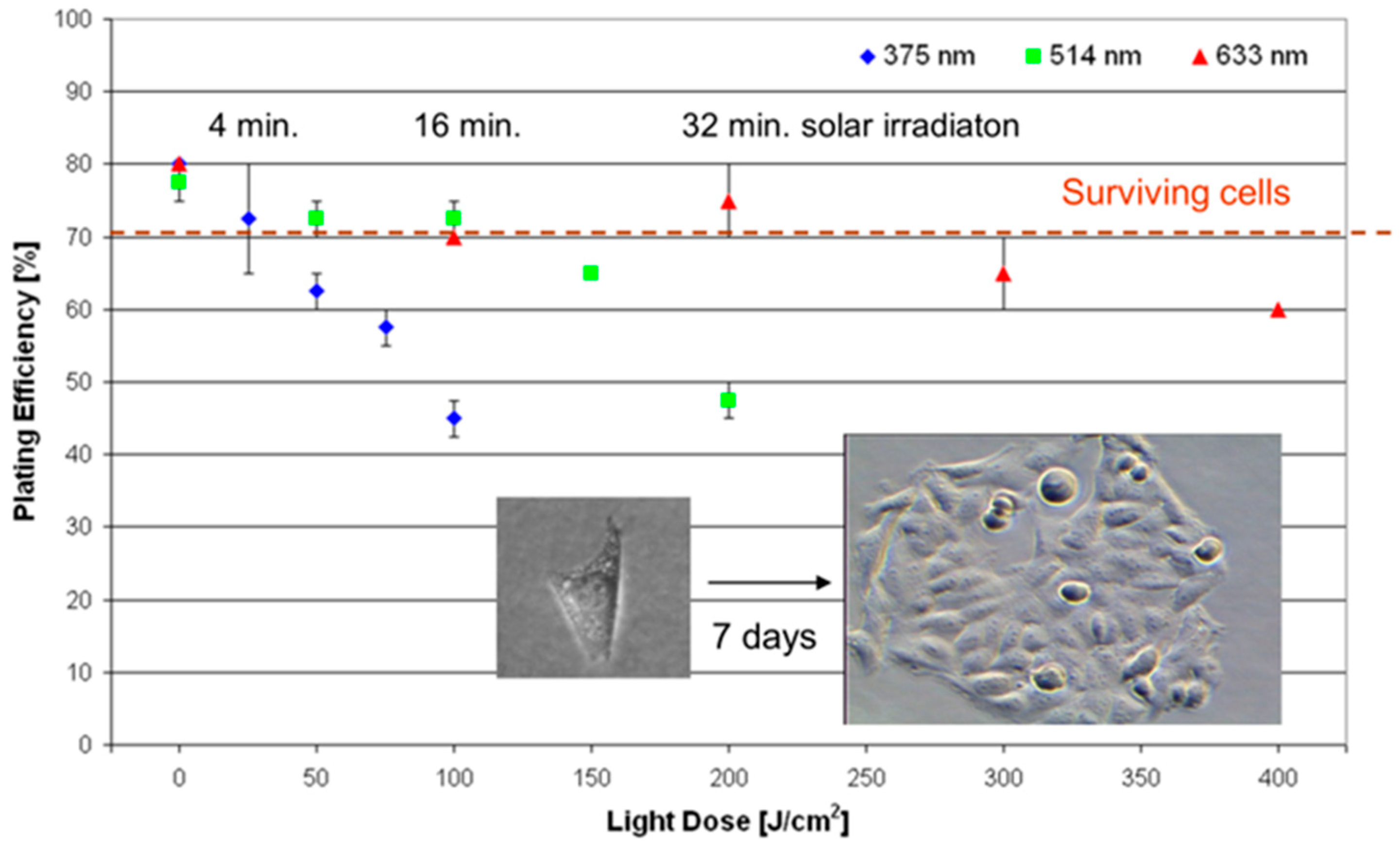 Biophysica 05 00001 g001