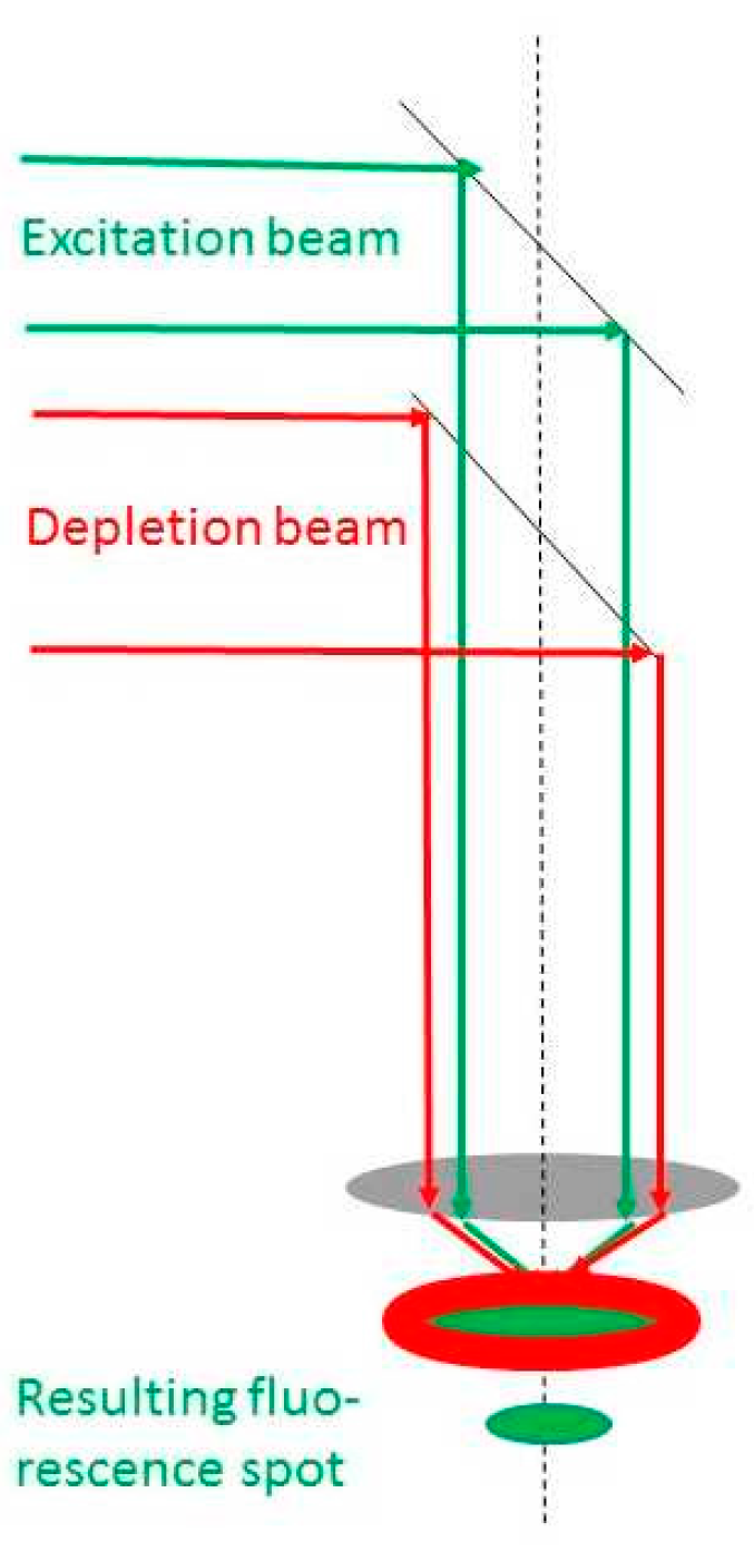 Biophysica 05 00001 g004
