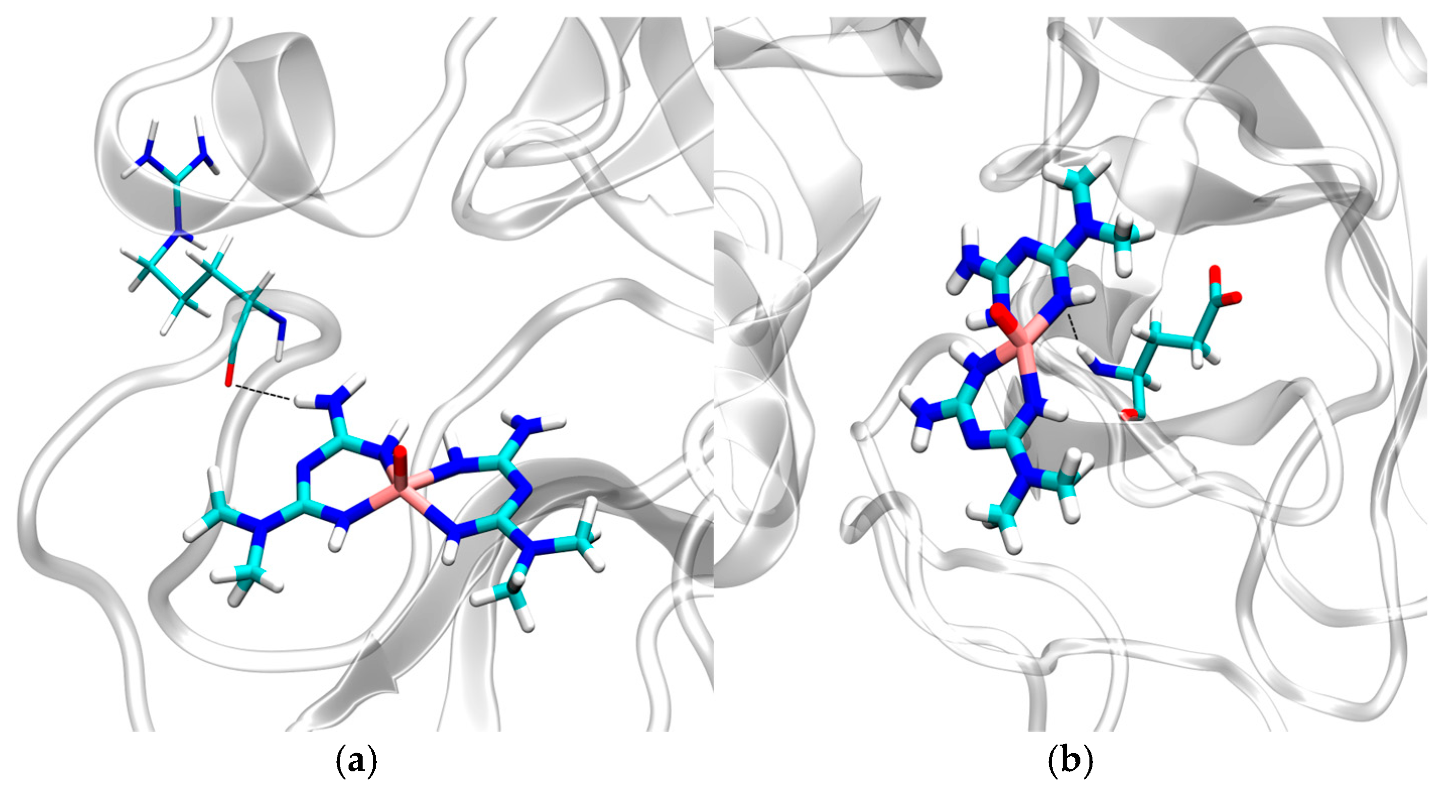 Biophysica 05 00004 g008