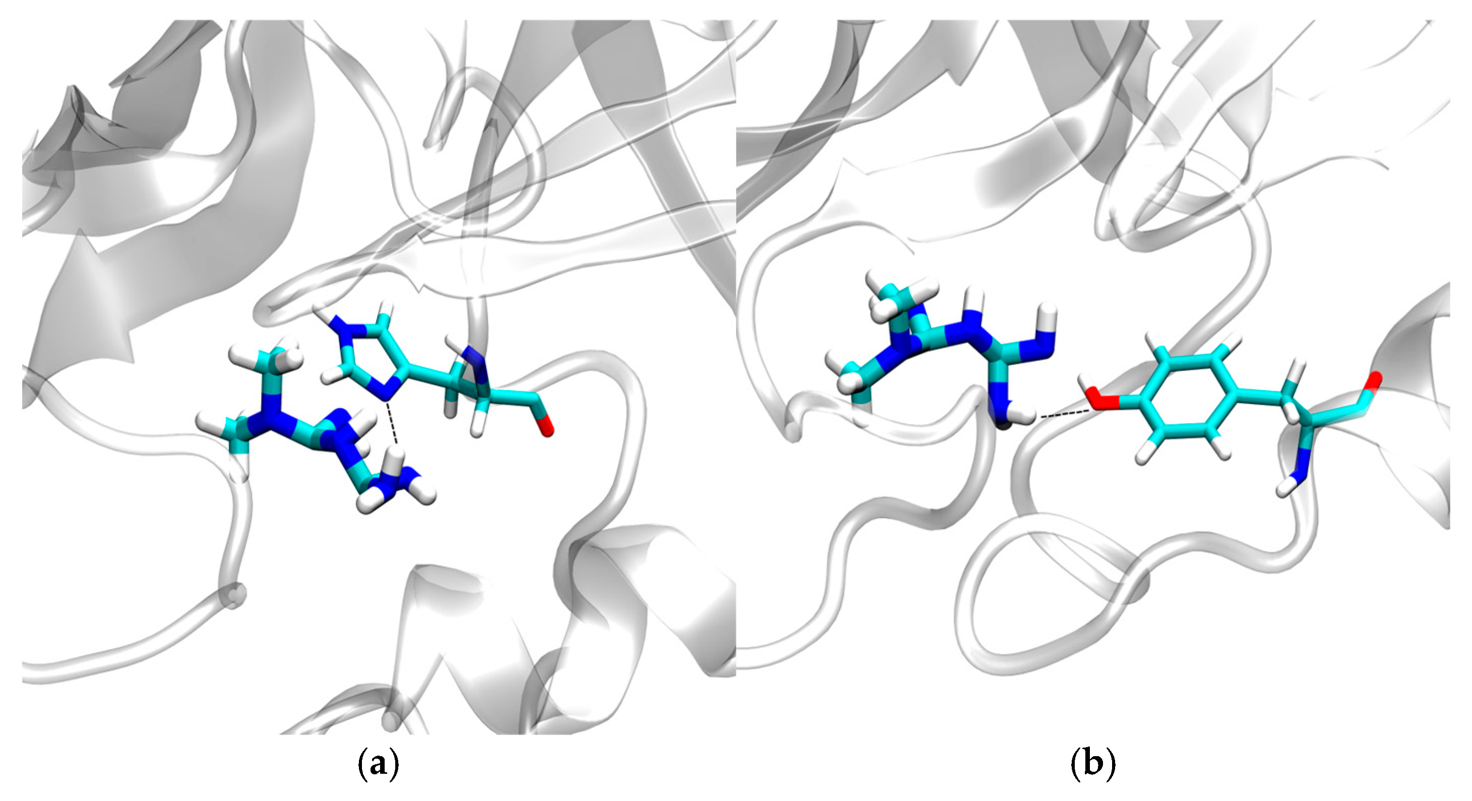 Biophysica 05 00004 g009