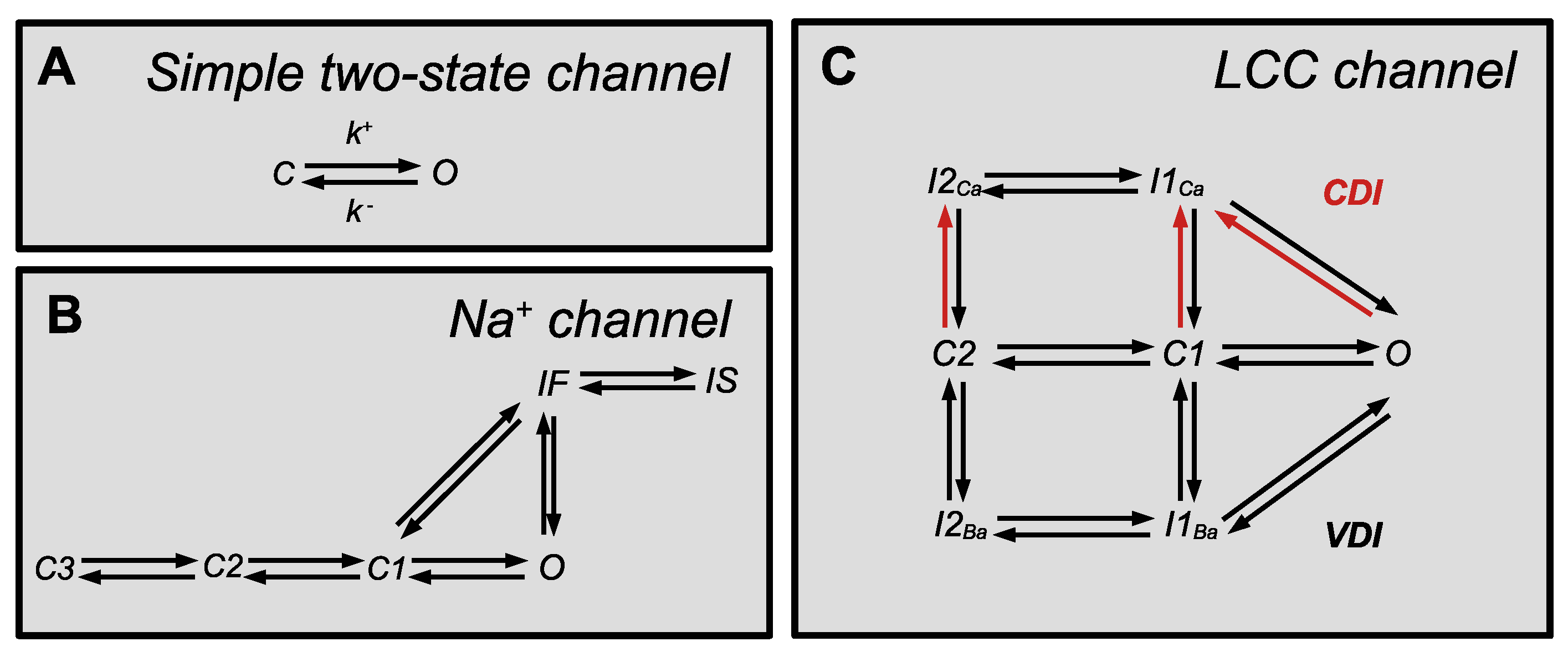 Biophysica 05 00005 g004