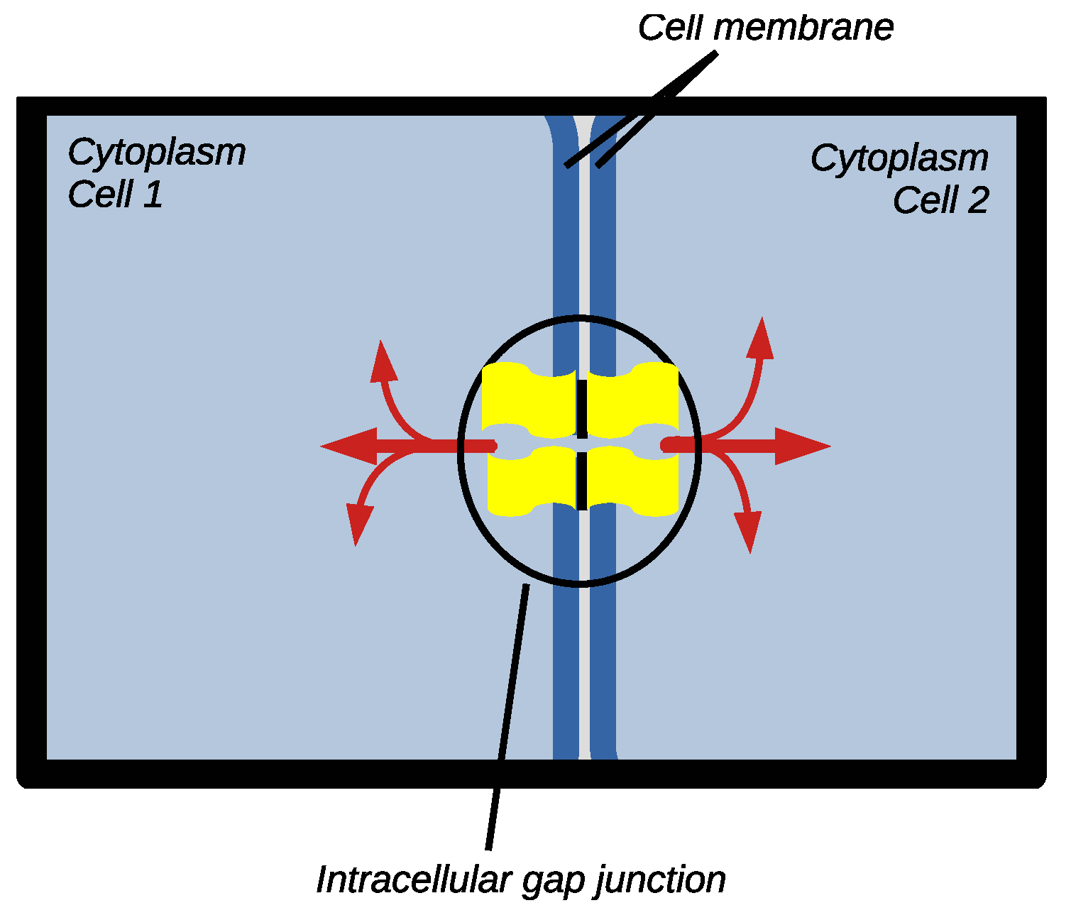 Biophysica 05 00005 g007