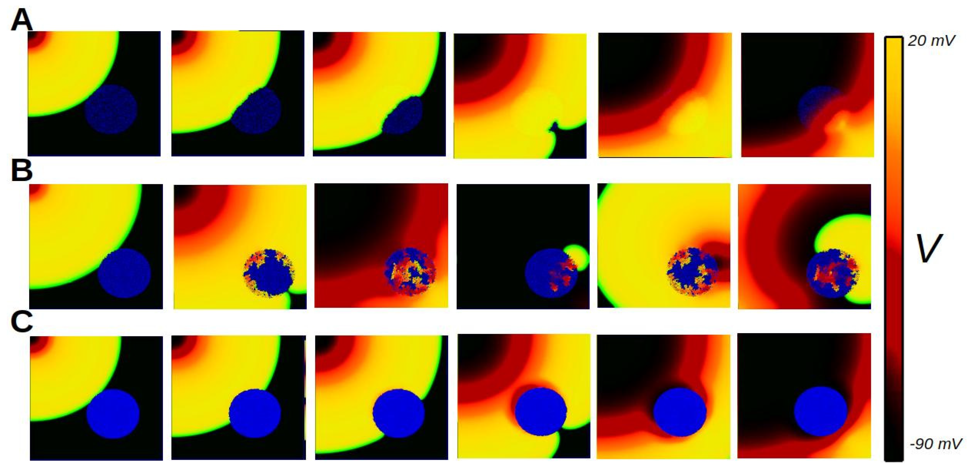 Biophysica 05 00005 g011
