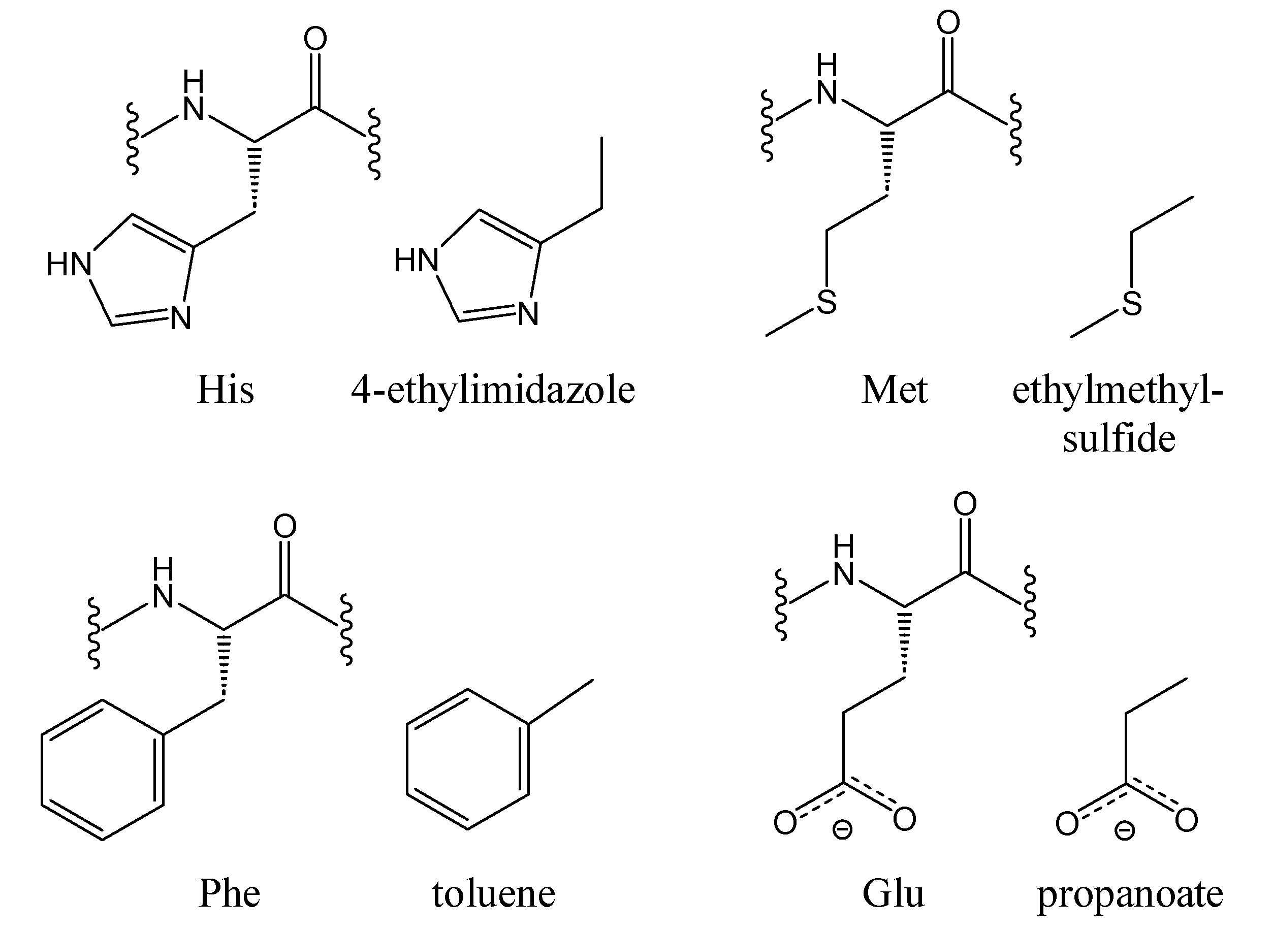 Biophysica 05 00007 g001