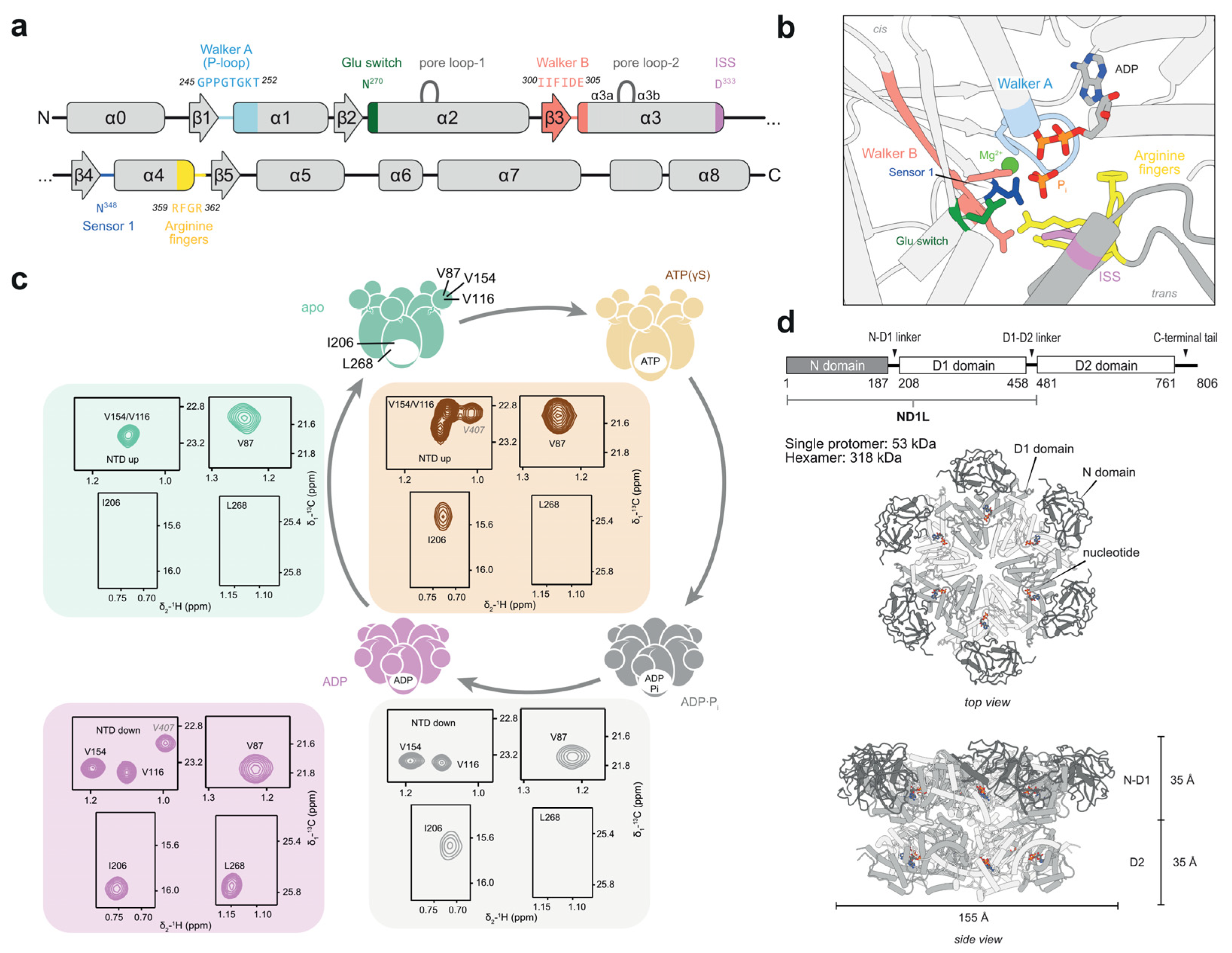 Biophysica 05 00009 g002