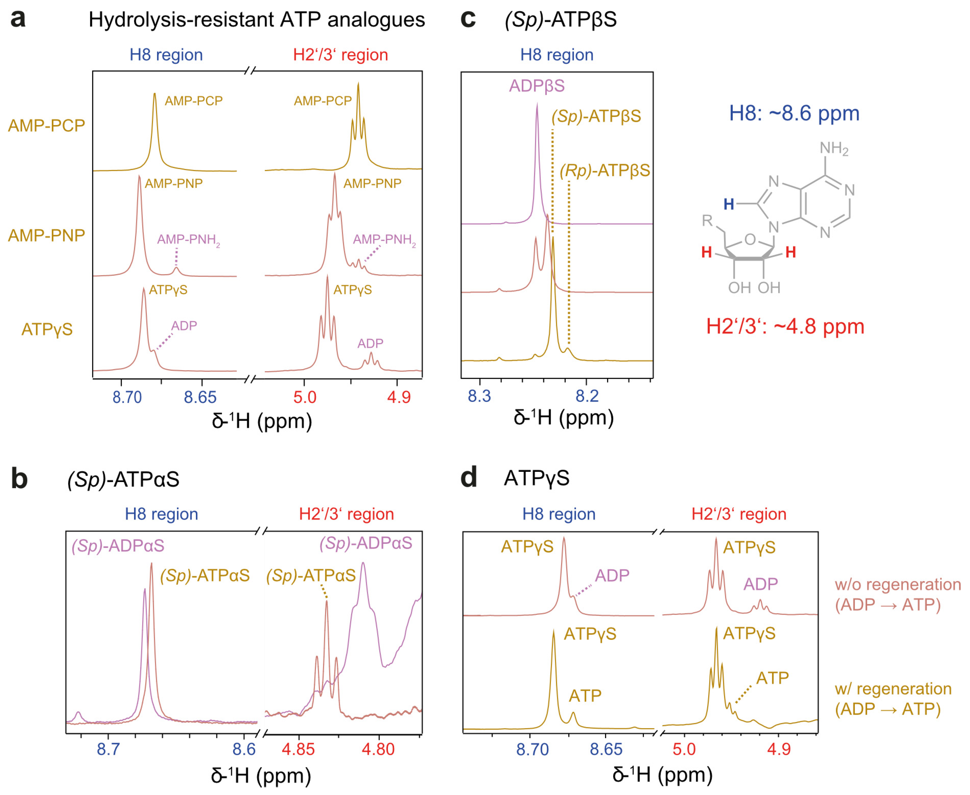 Biophysica 05 00009 g003