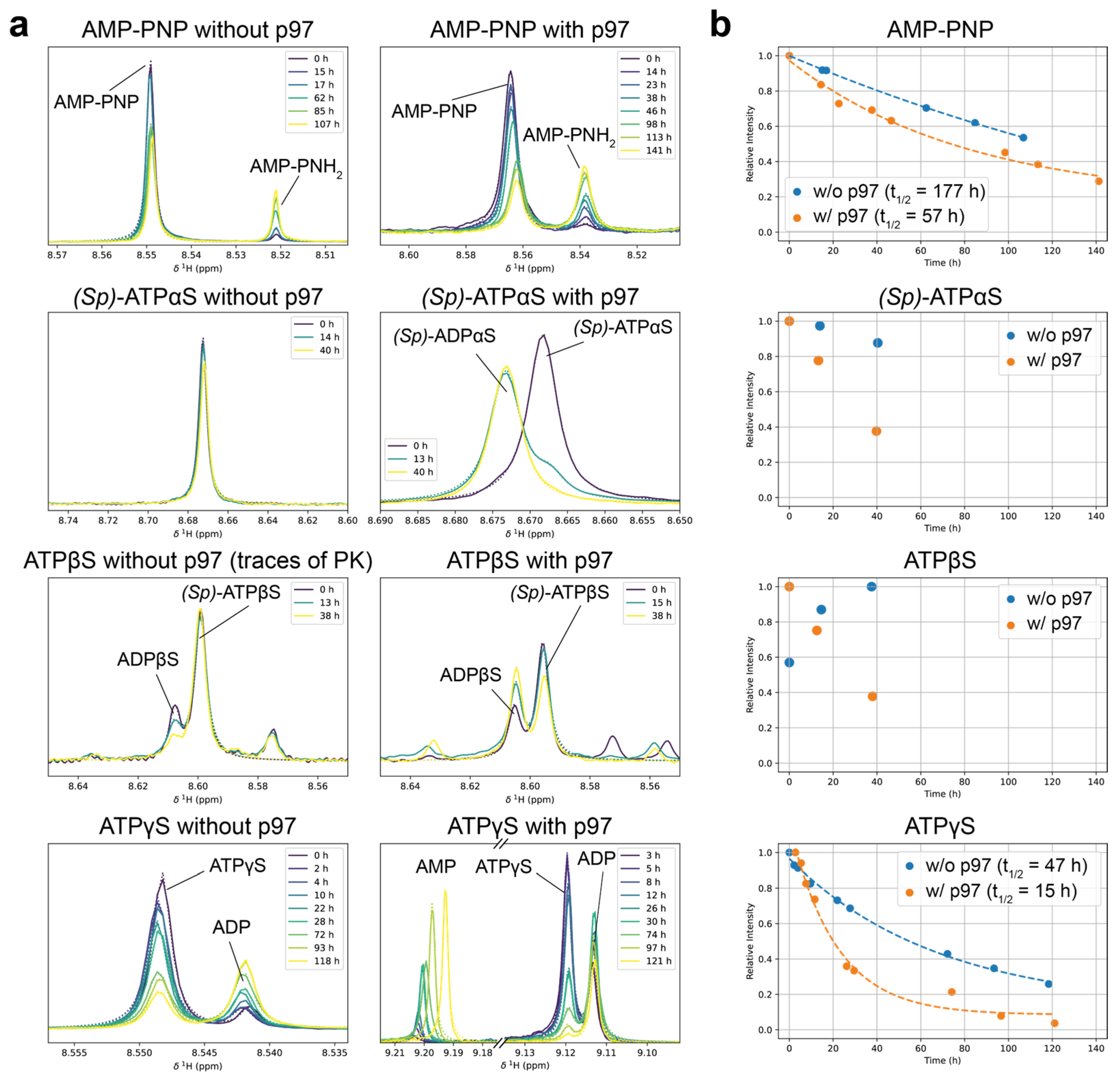 Biophysica 05 00009 g004