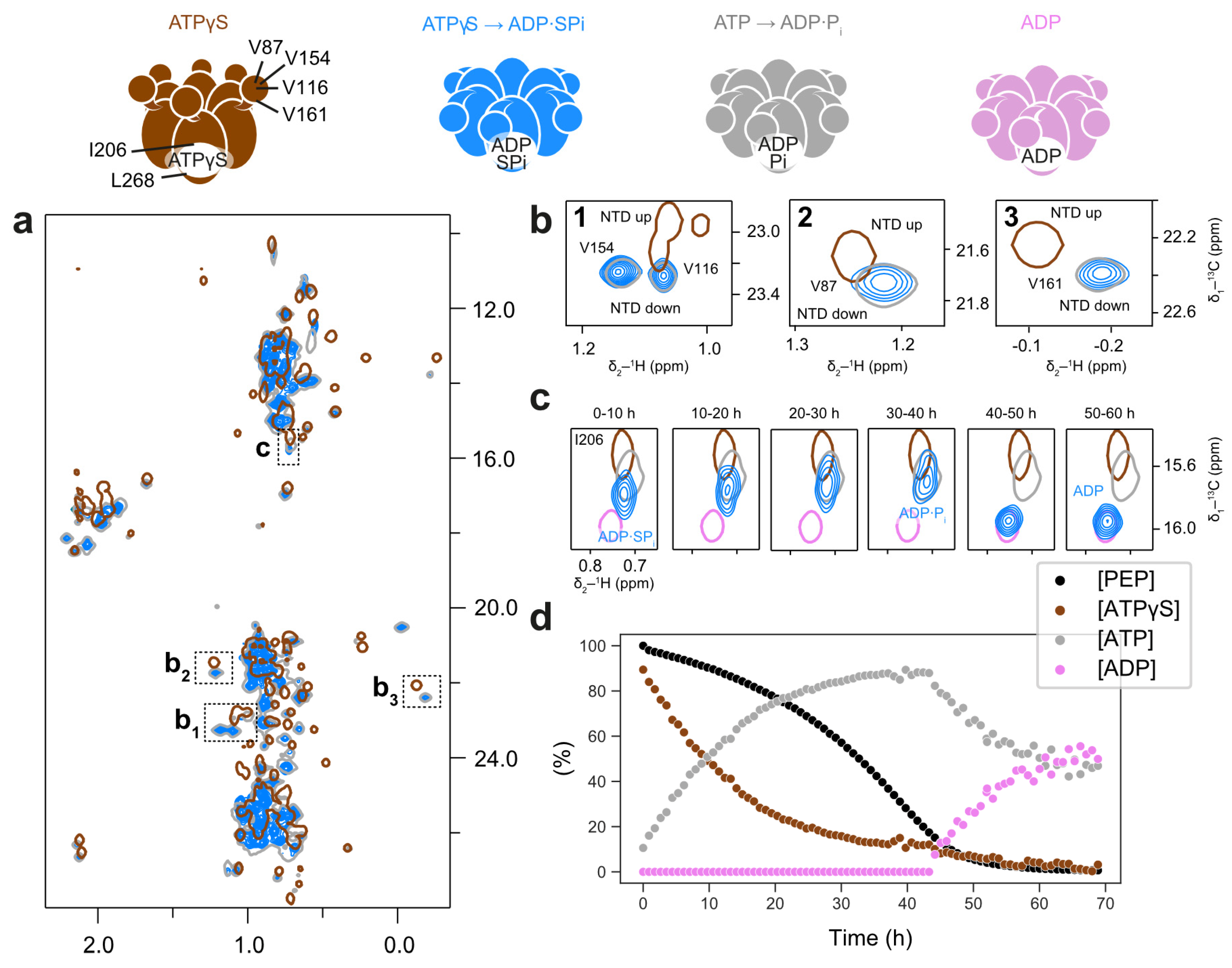 Biophysica 05 00009 g005