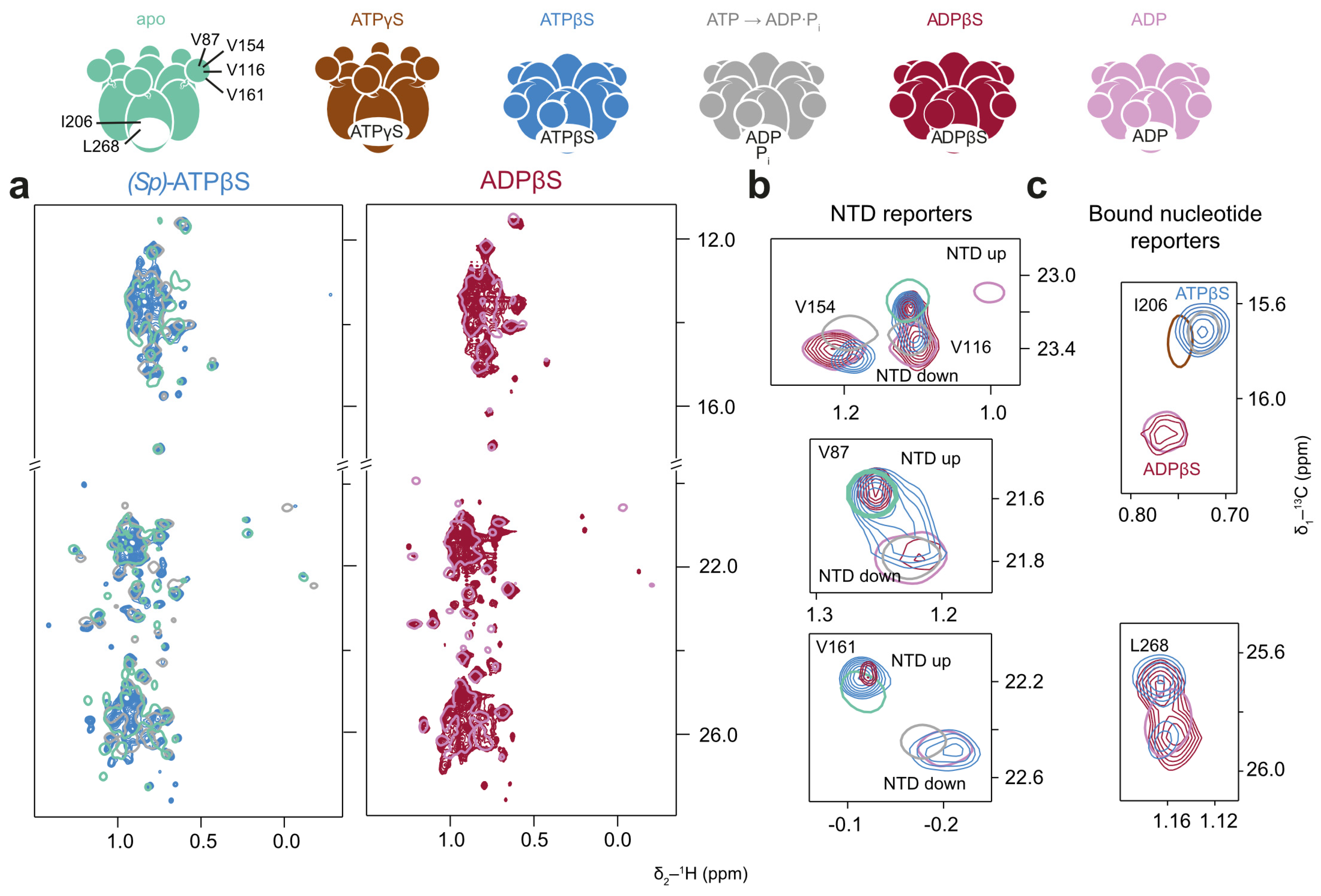 Biophysica 05 00009 g007