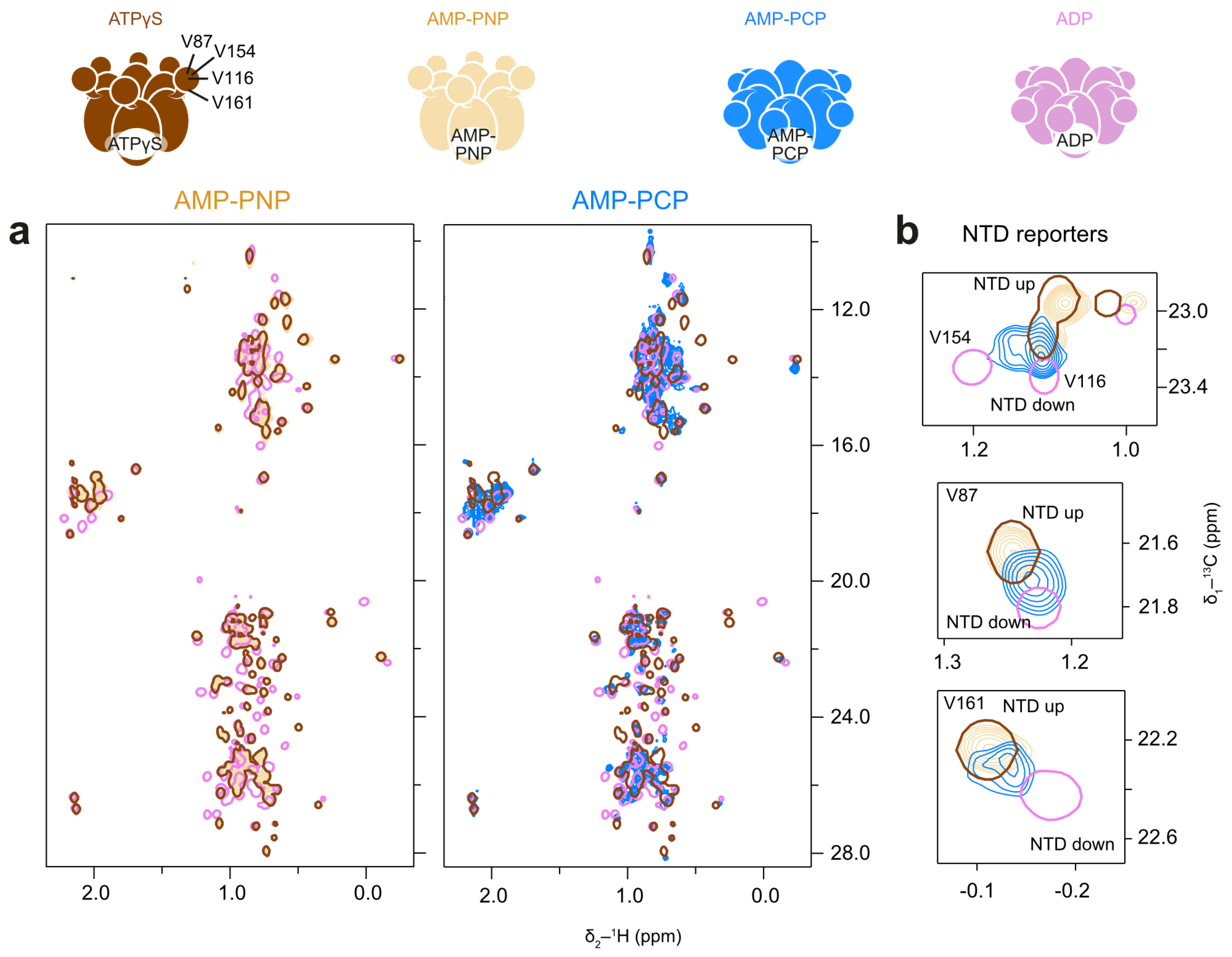Biophysica 05 00009 g008