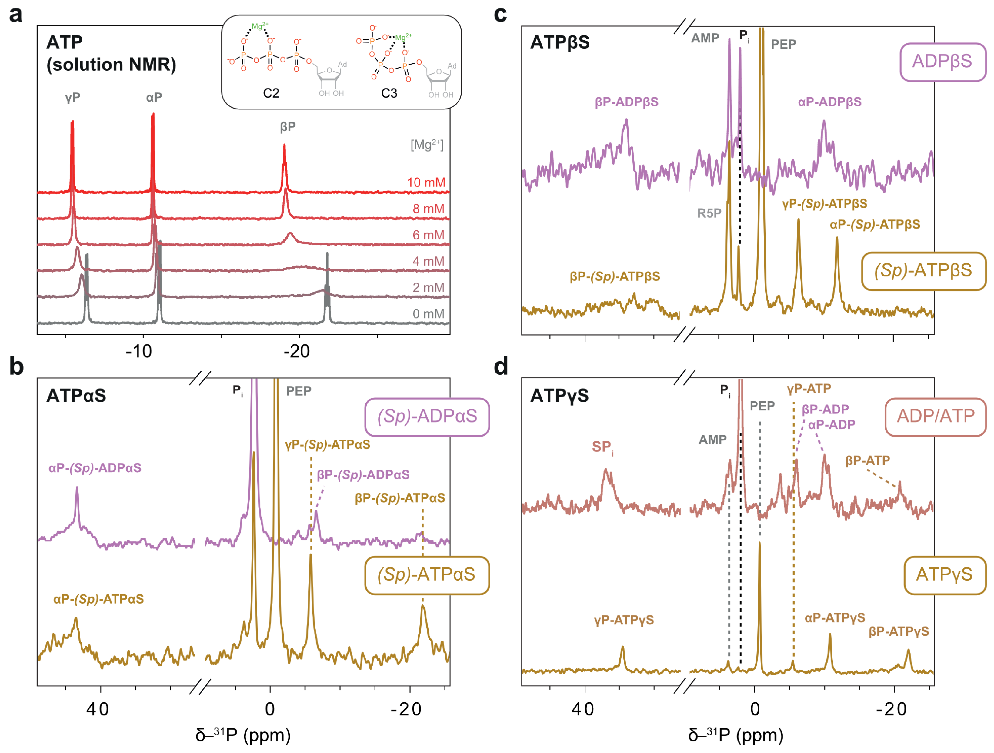 Biophysica 05 00009 g009