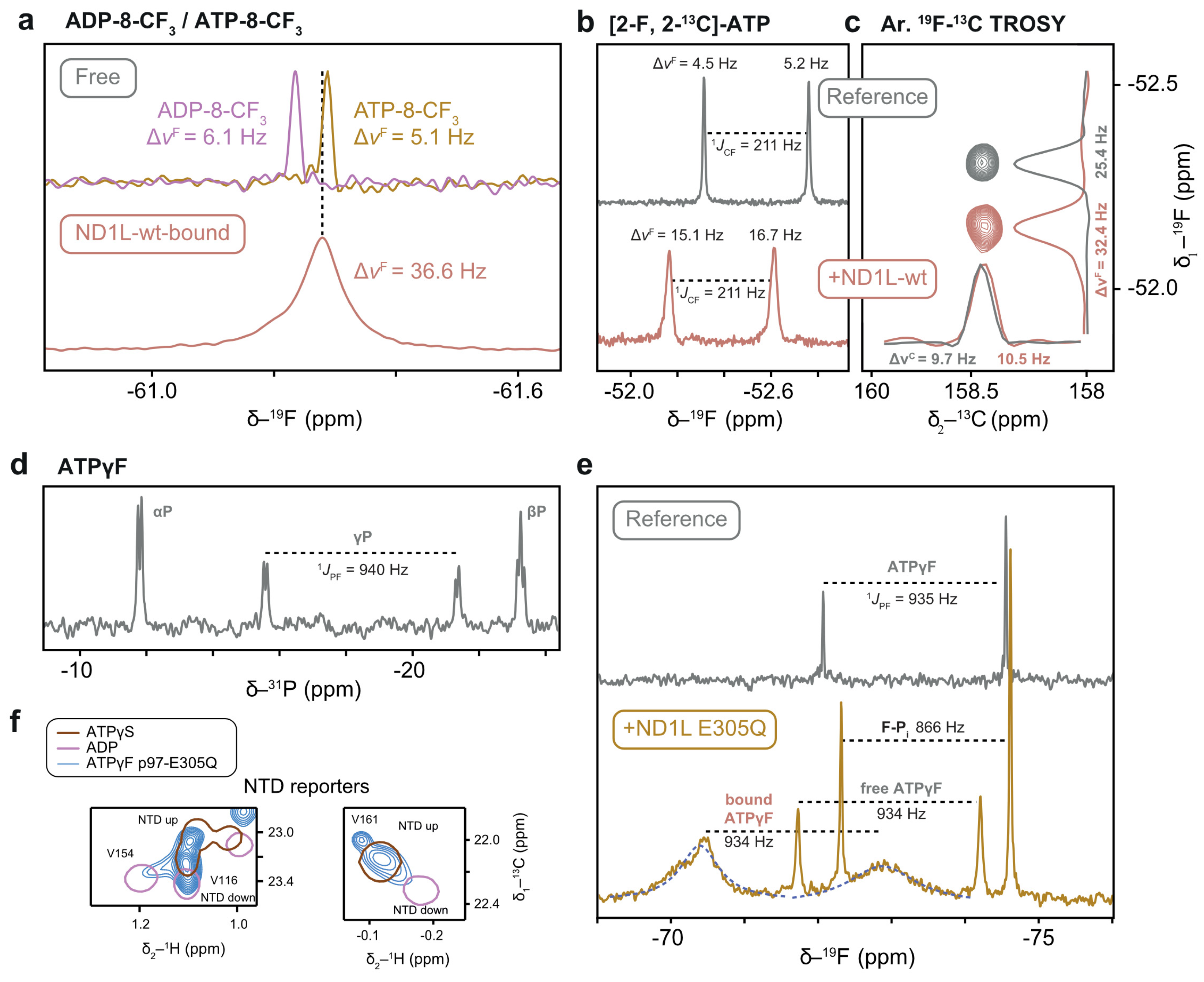 Biophysica 05 00009 g011