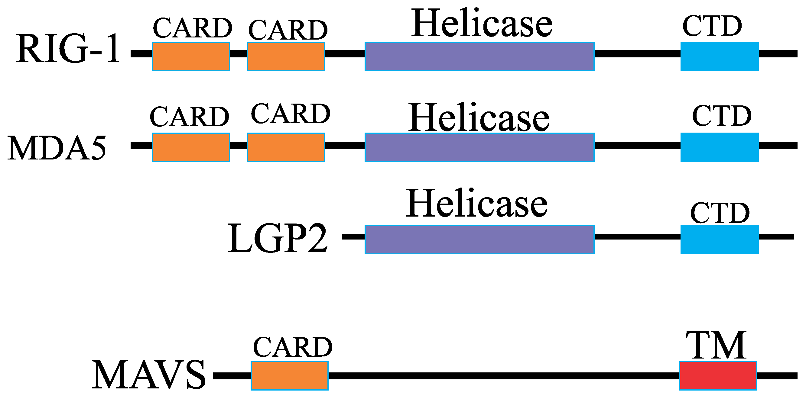 Biophysica 05 00011 g001