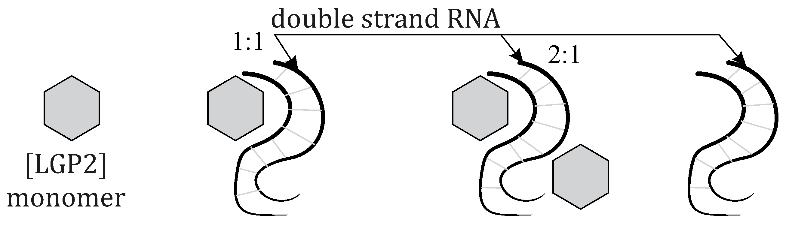 Biophysica 05 00011 g003