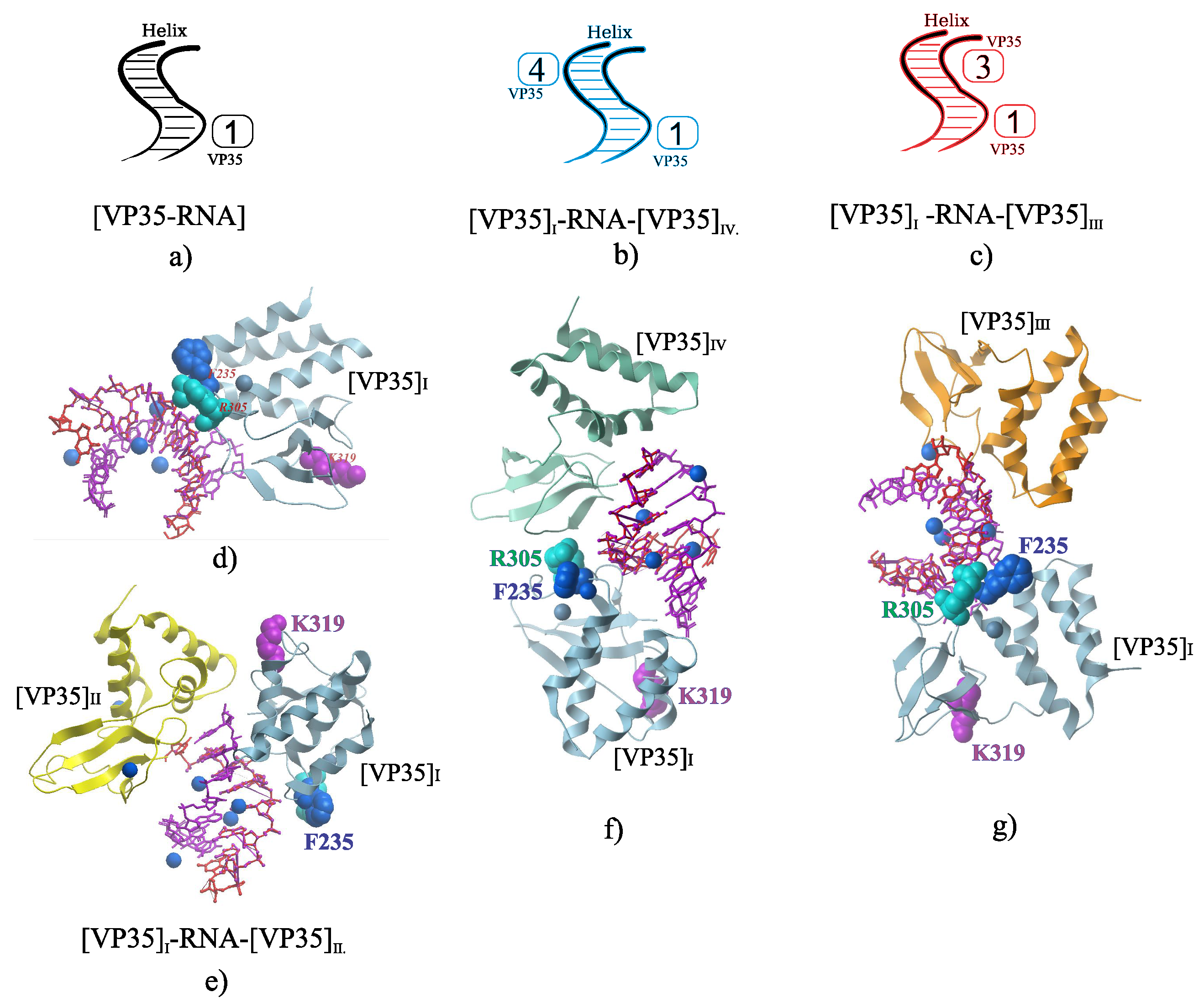 Biophysica 05 00011 g006
