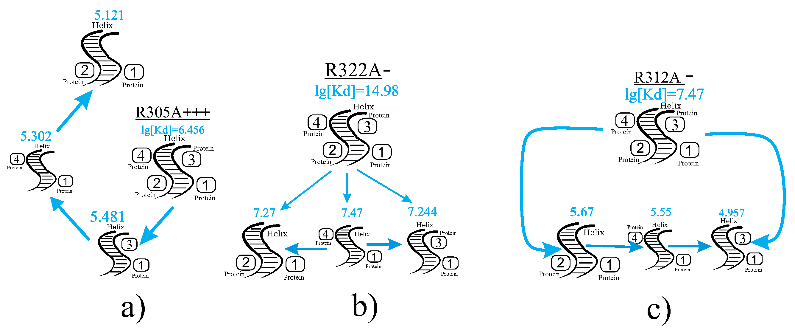 Biophysica 05 00011 g009