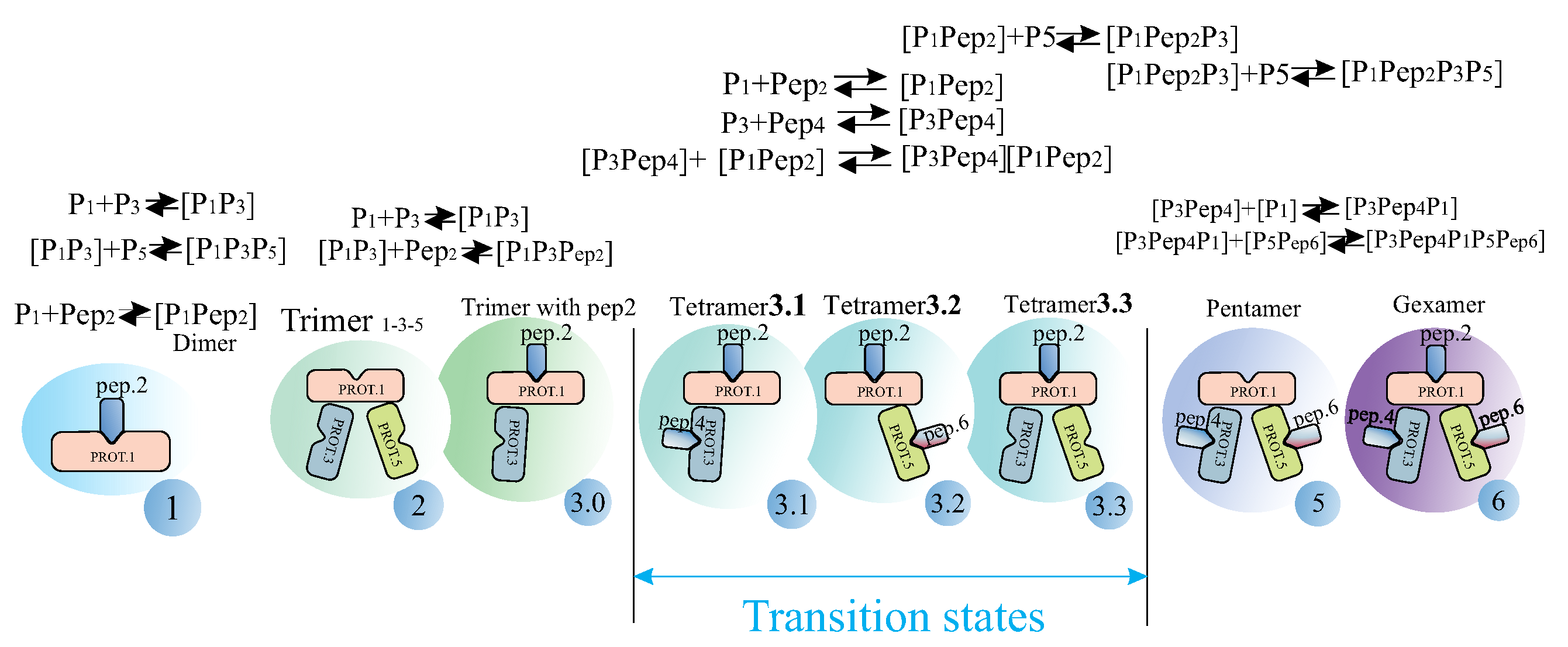 Biophysica 05 00011 g010
