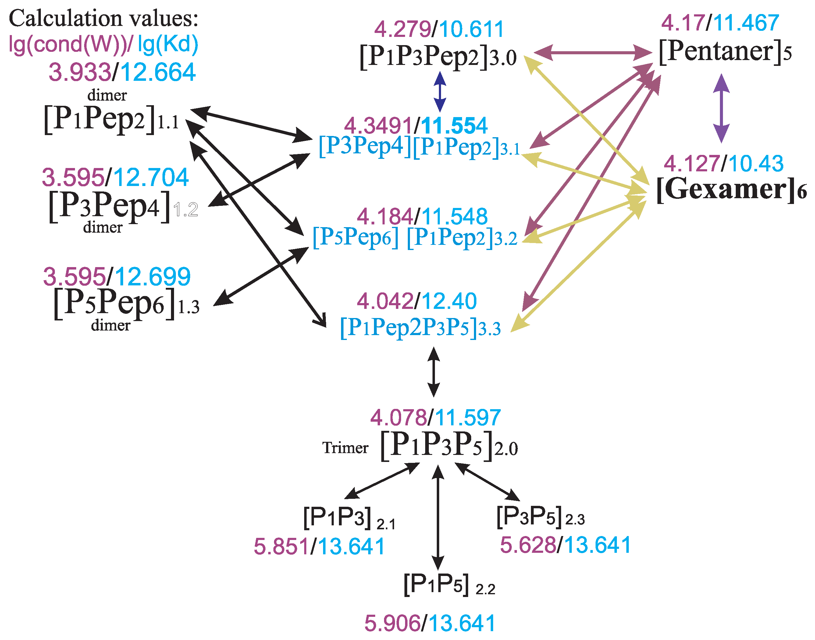 Biophysica 05 00011 g011