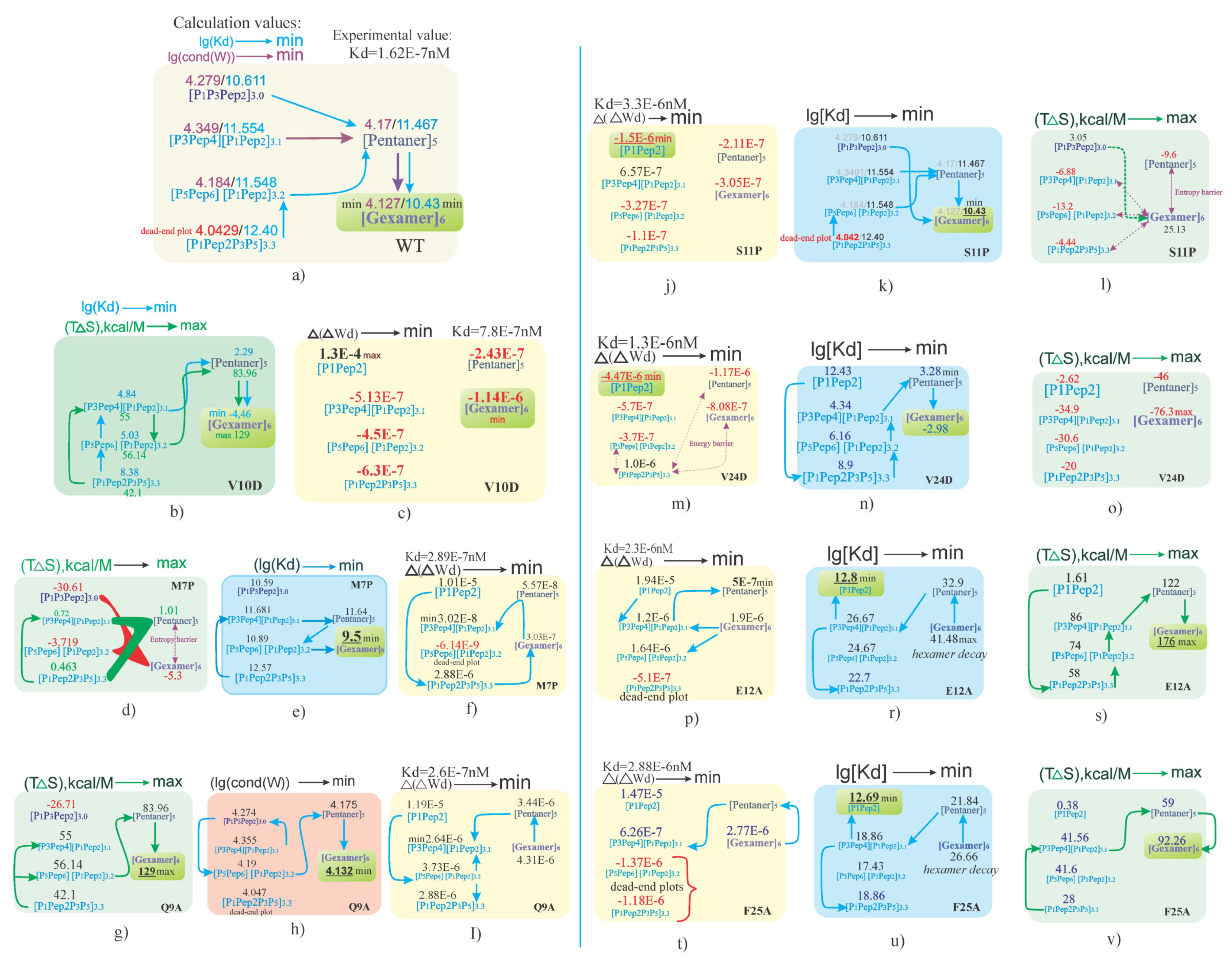 Biophysica 05 00011 g013