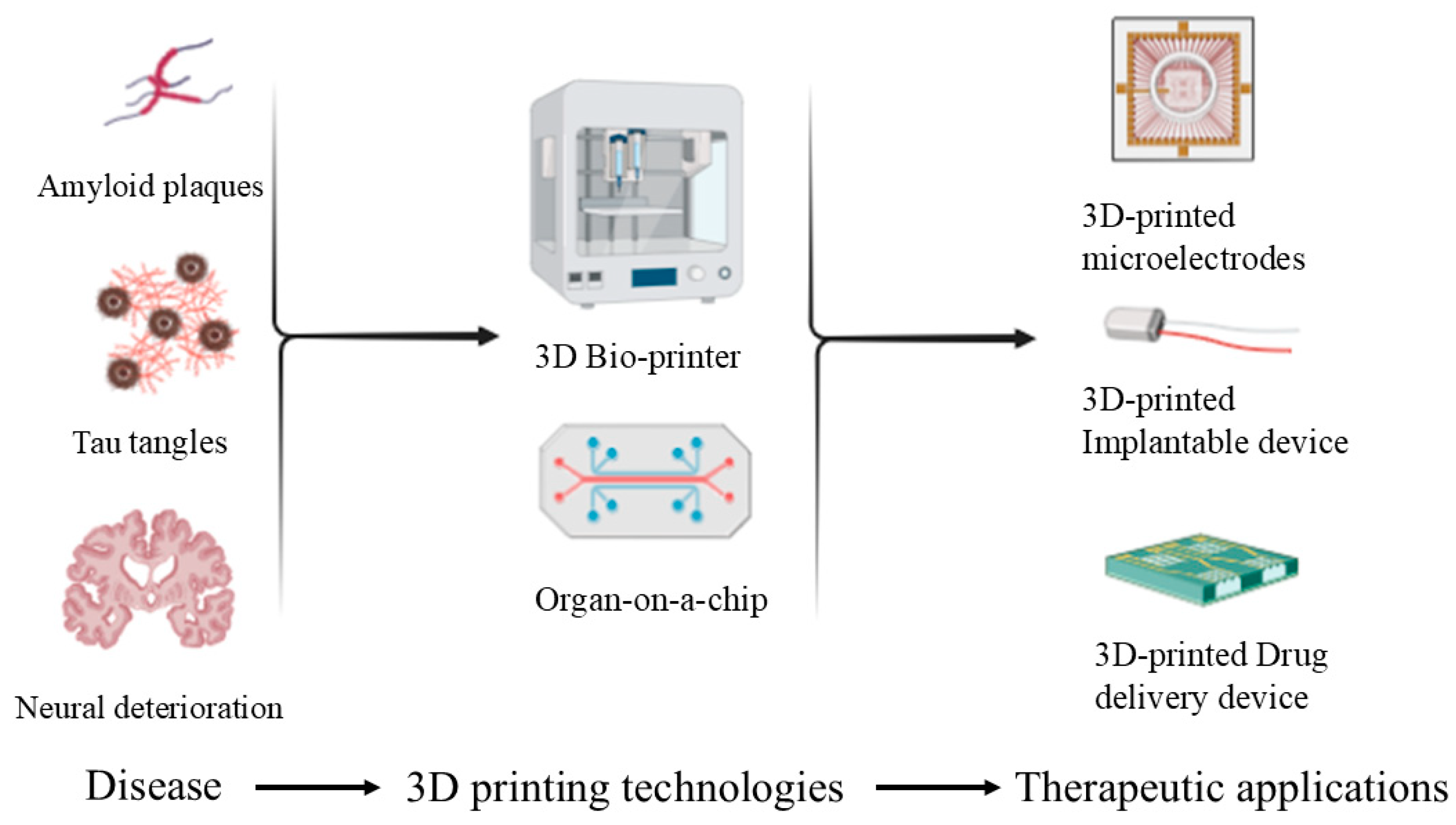 Biophysica 05 00013 g001